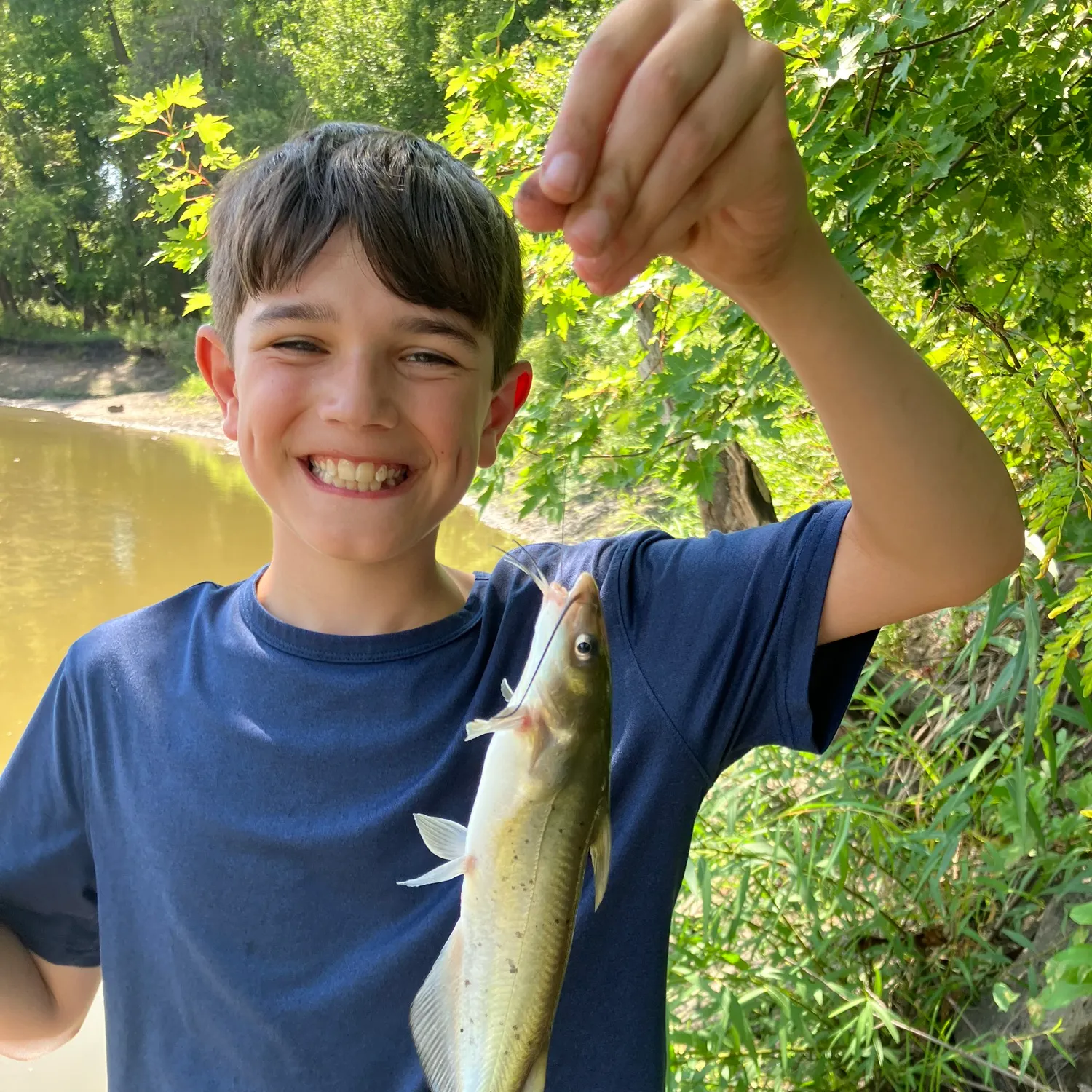 Channel catfish caught on Fishbrain