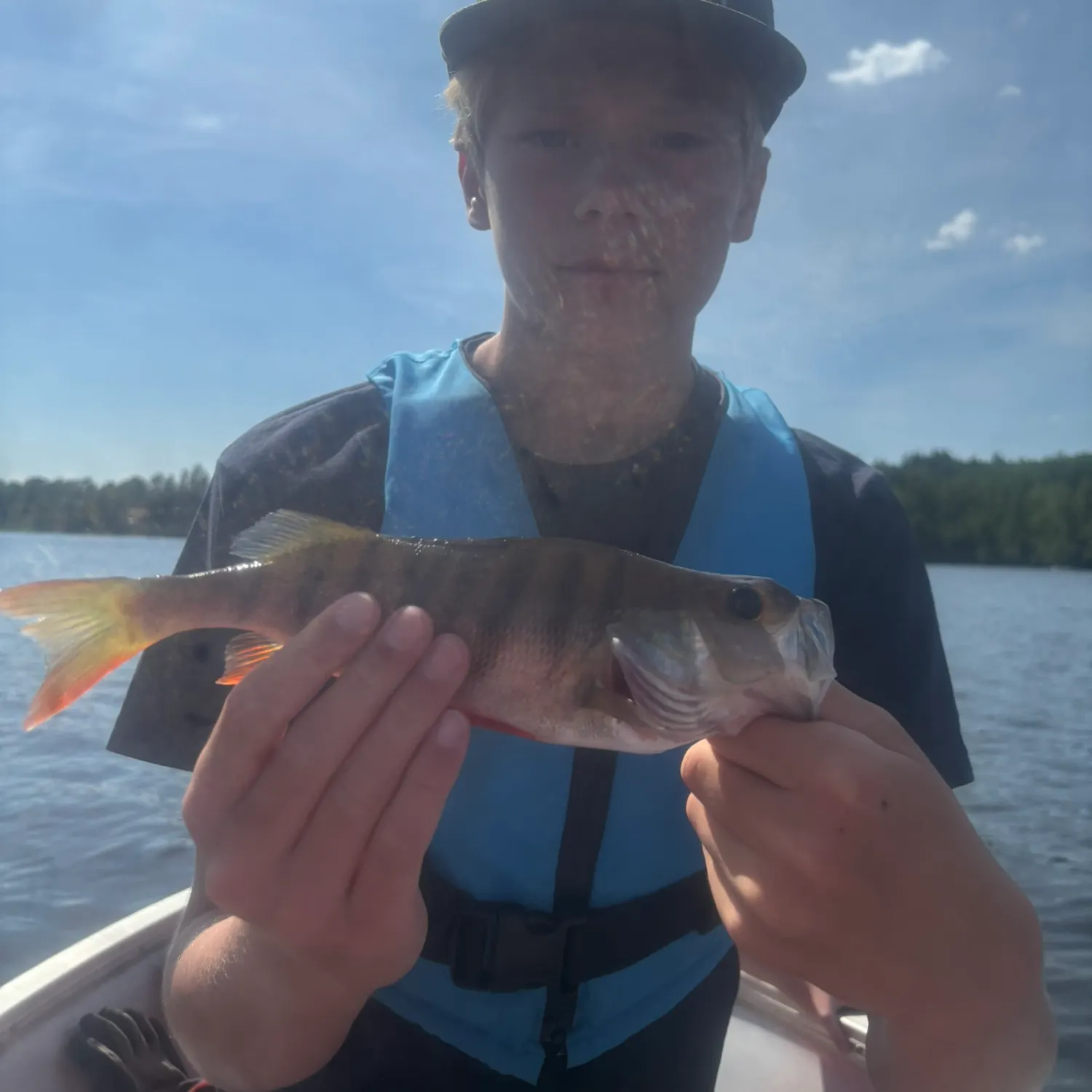 European perch caught on Fishbrain