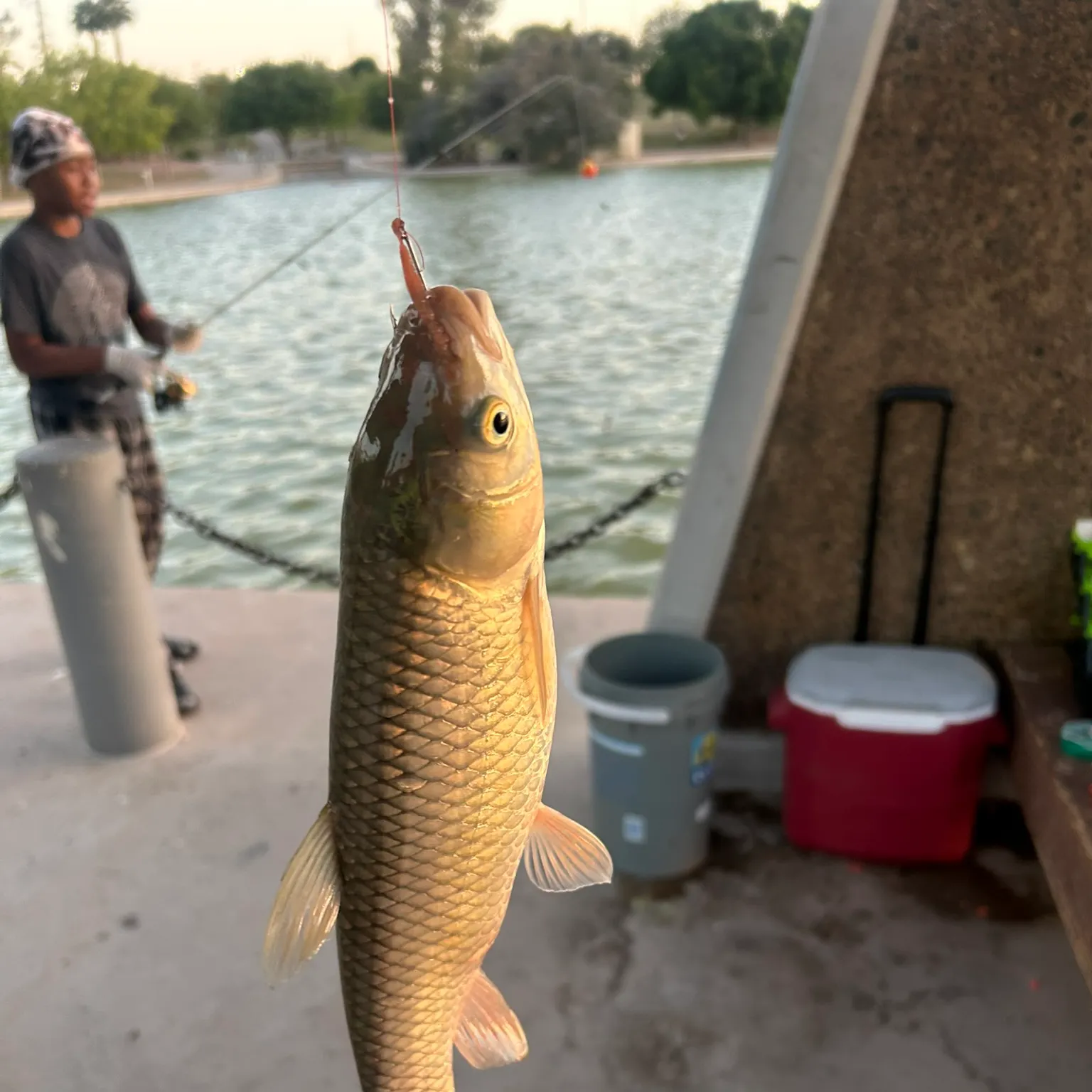catch