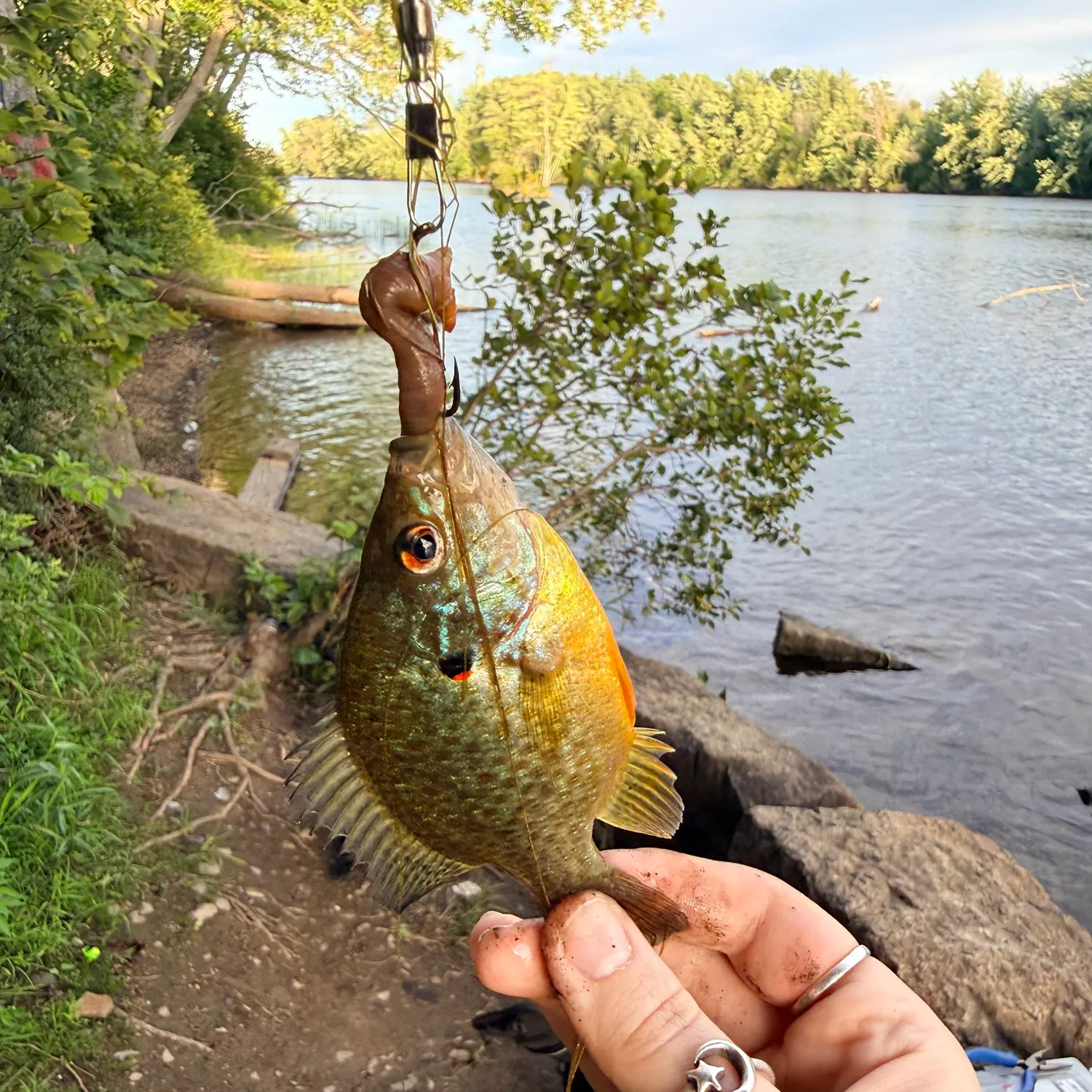 catch