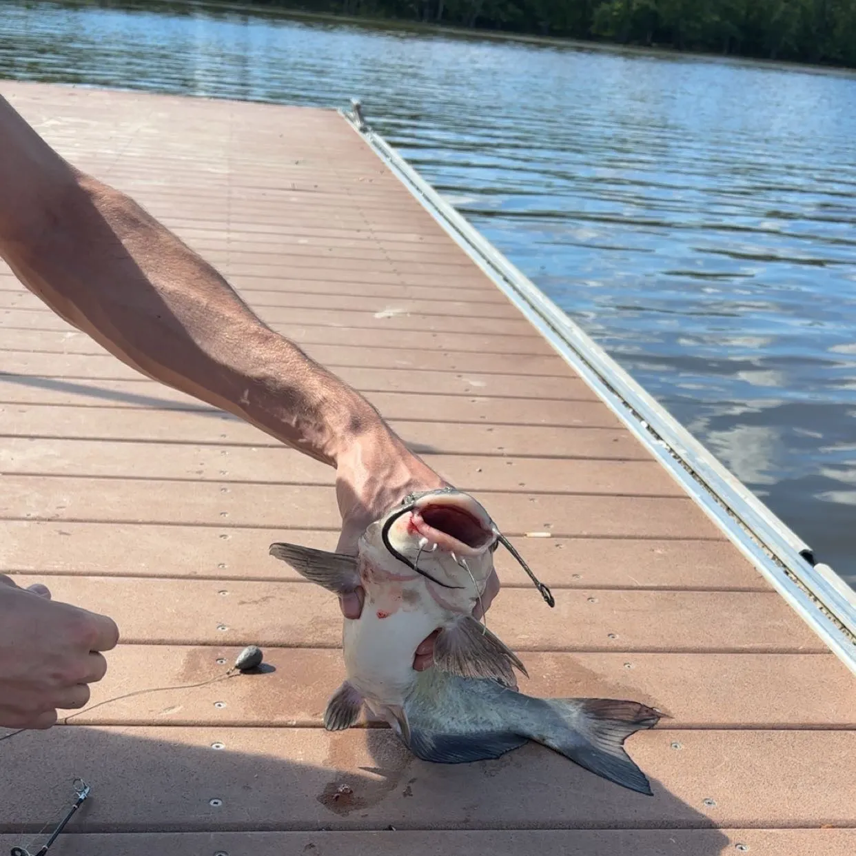 catch
