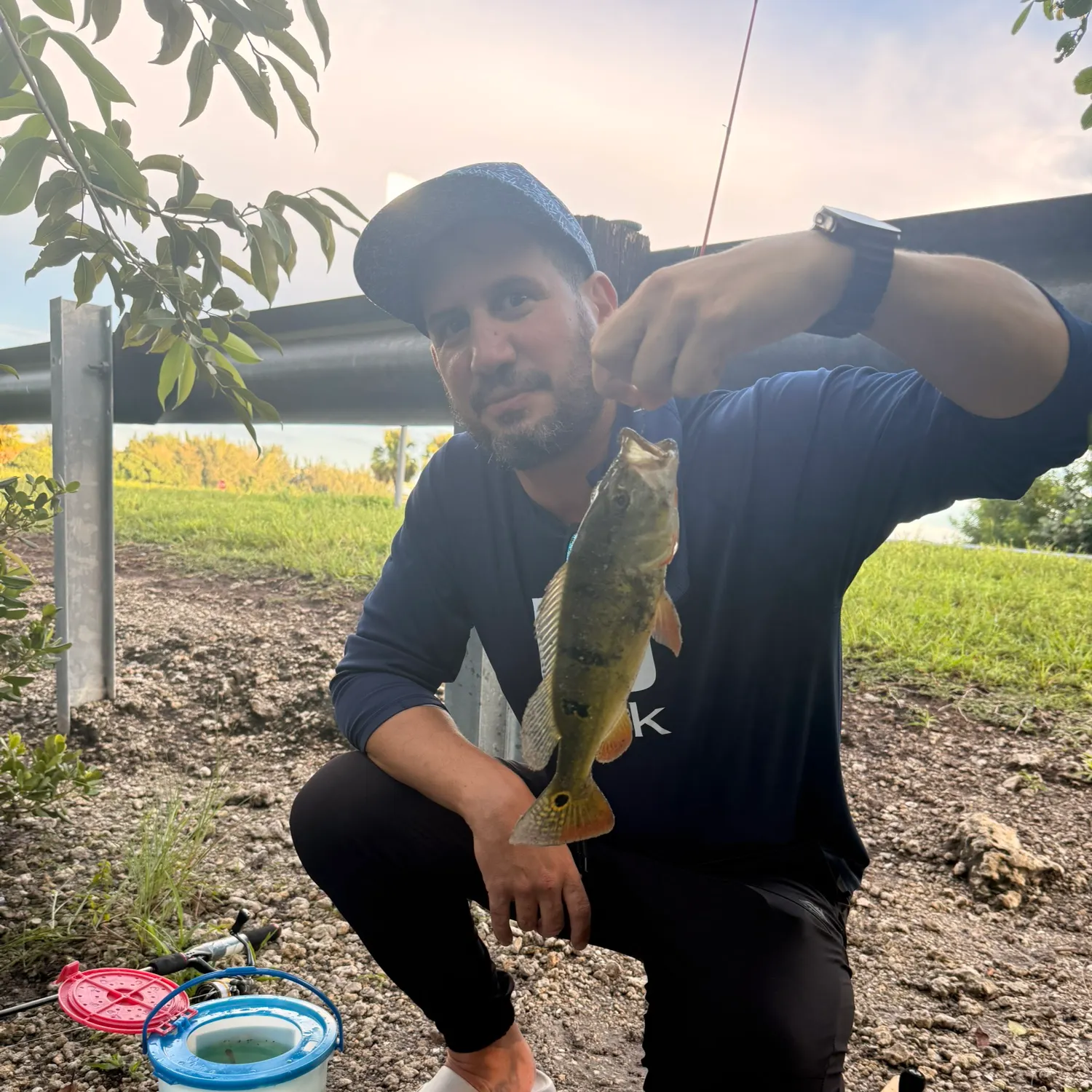 Butterfly peacock bass caught on Fishbrain
