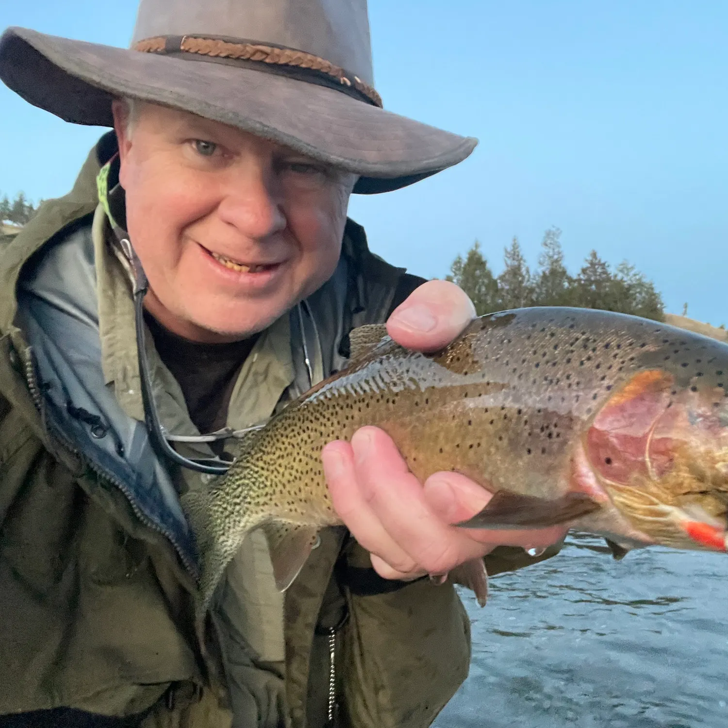 The most recent Westslope cutthroat trout catches on Fishbrain
