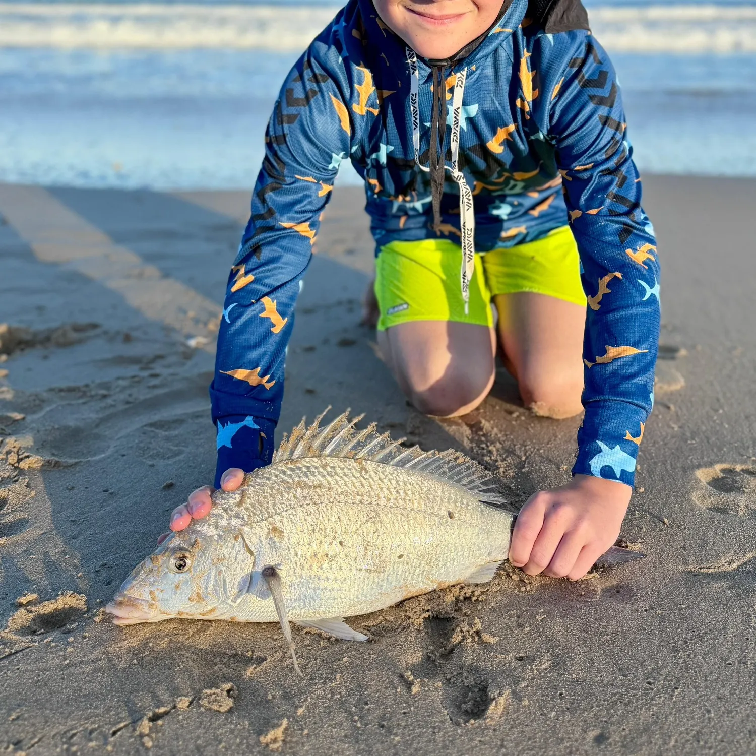 The most recent White steenbras catches on Fishbrain