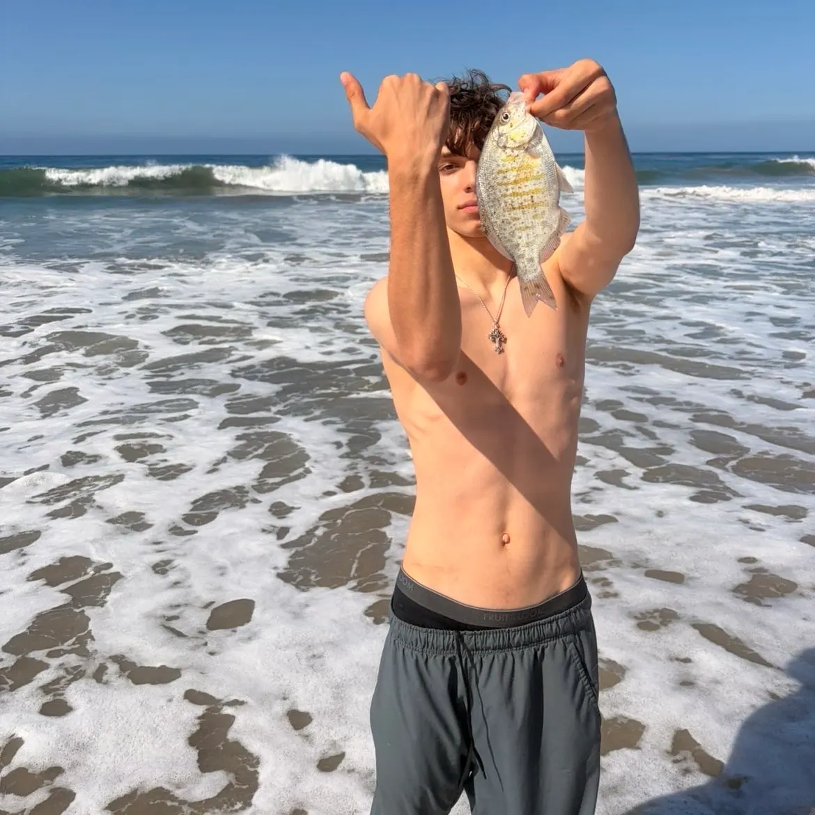 The most recent Barred surfperch catches on Fishbrain