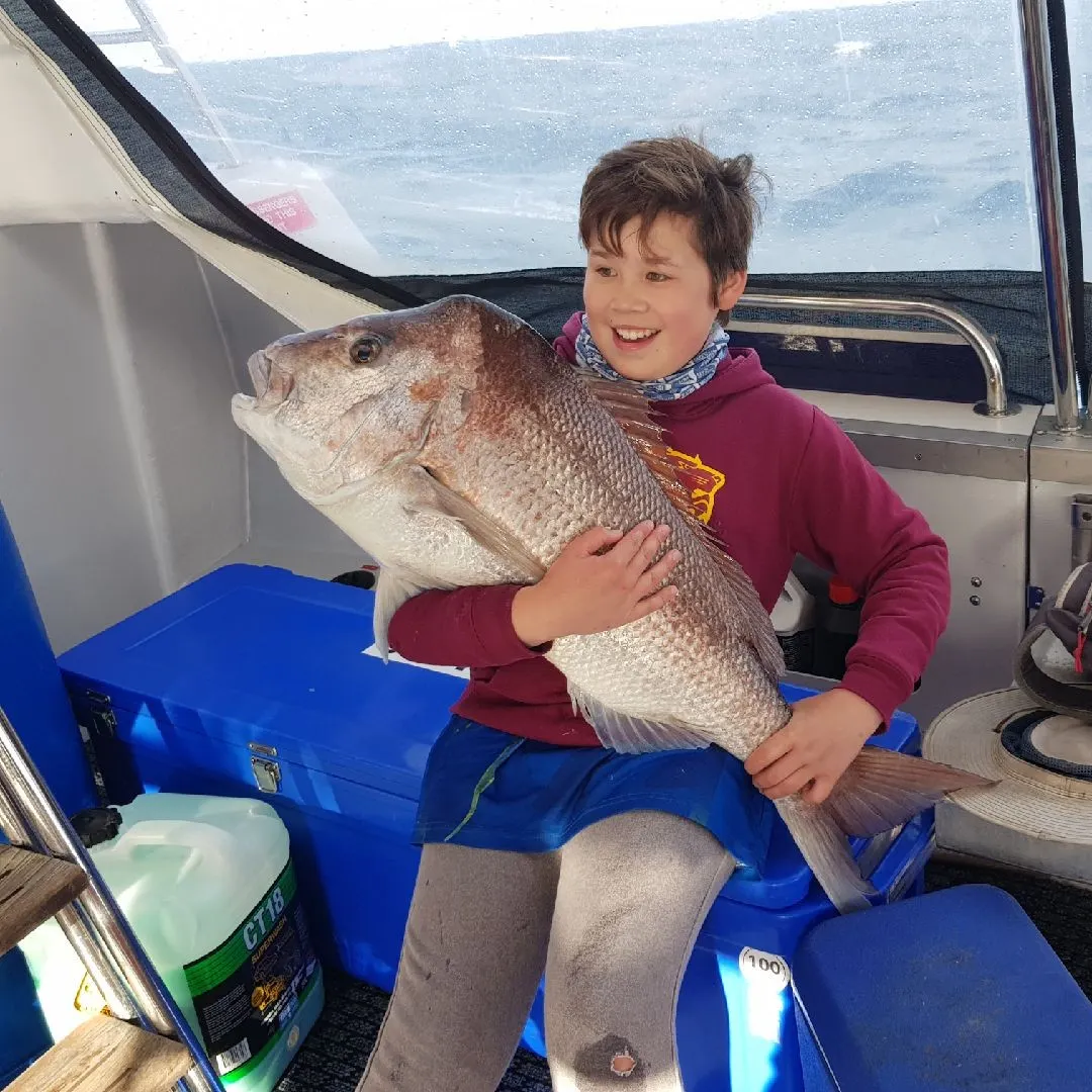 Australasian snapper caught on Fishbrain
