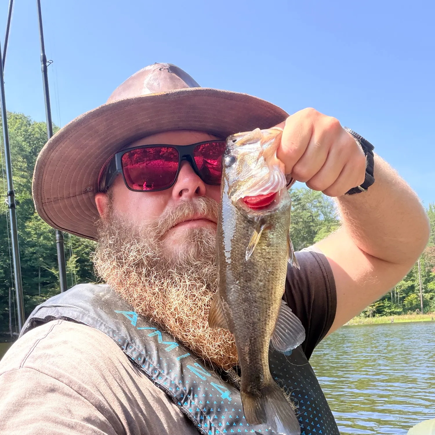Largemouth bass caught on Fishbrain