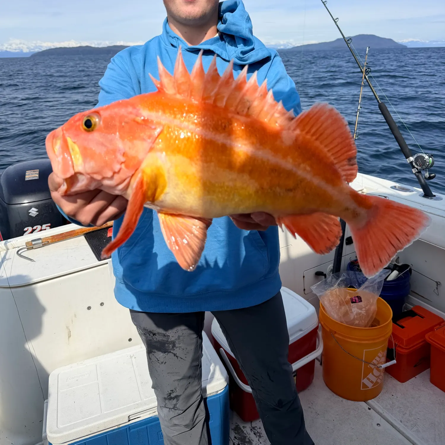 The most recent Yelloweye rockfish catches on Fishbrain