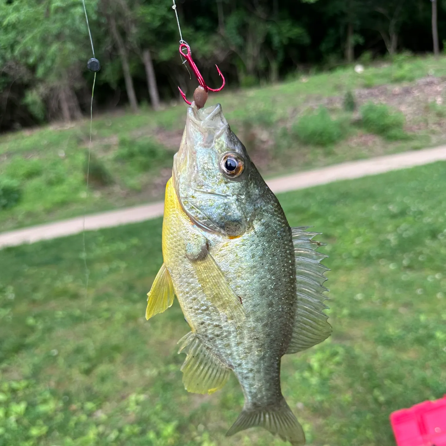 catch