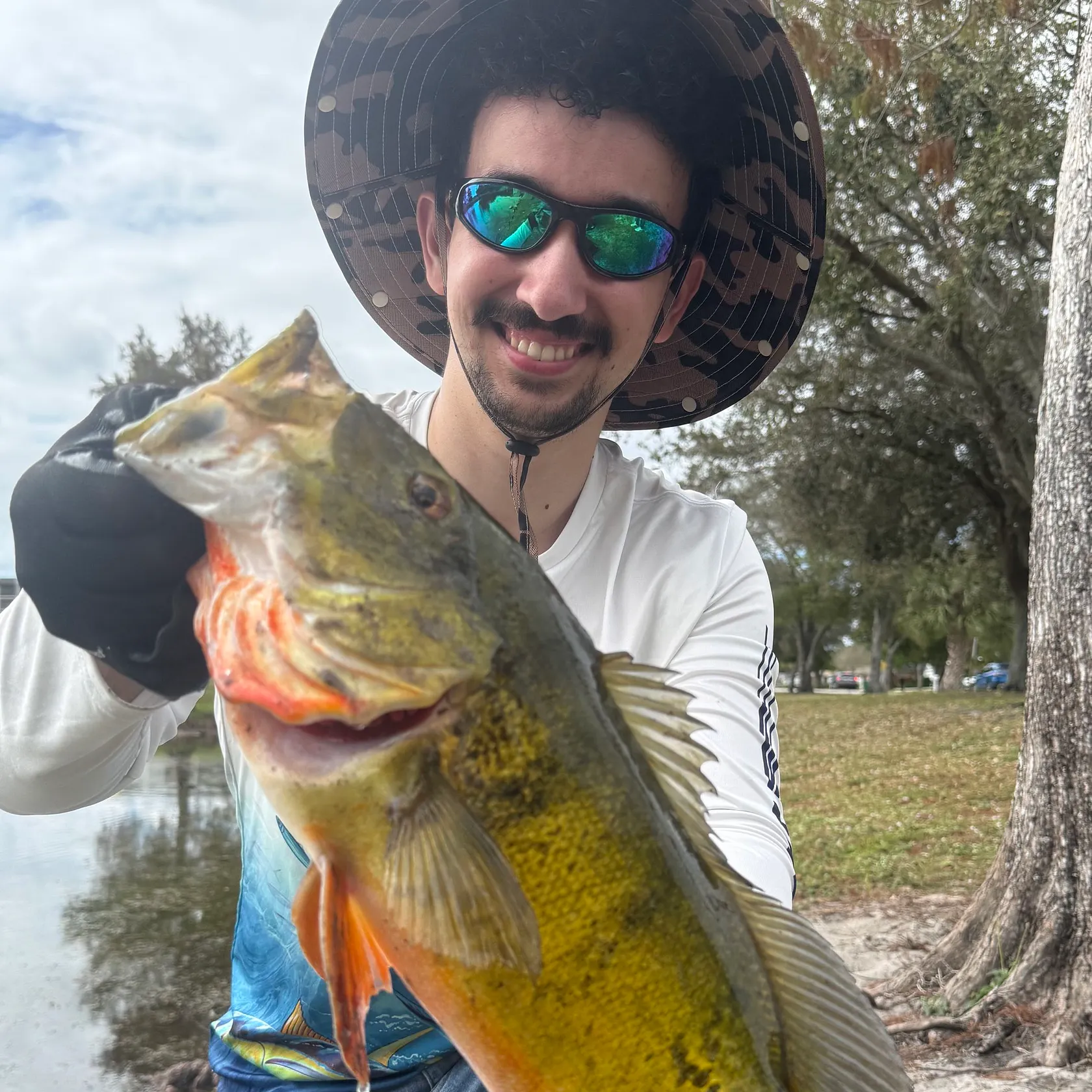 The most recent Butterfly peacock bass catches on Fishbrain