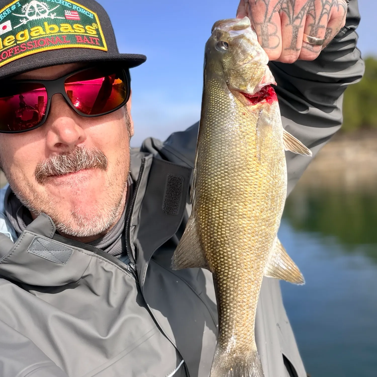 Smallmouth bass caught on Fishbrain