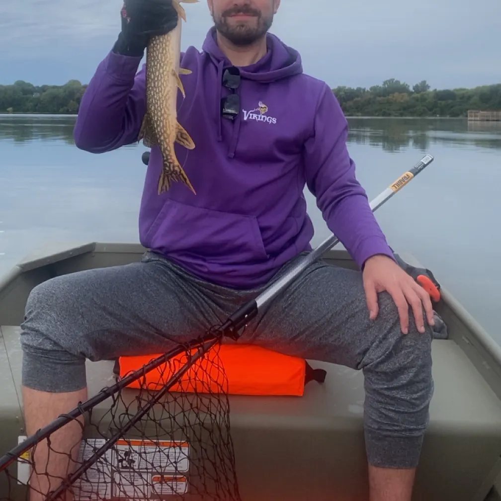 Northern pike caught on Fishbrain