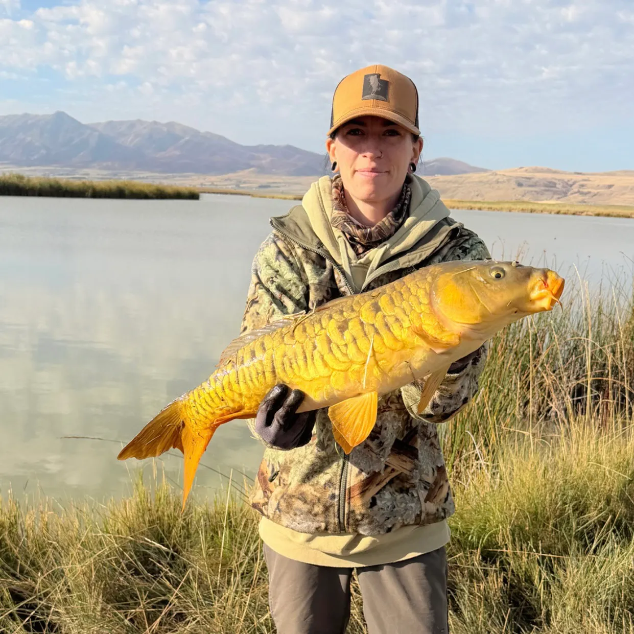 Mirror carp caught on Fishbrain