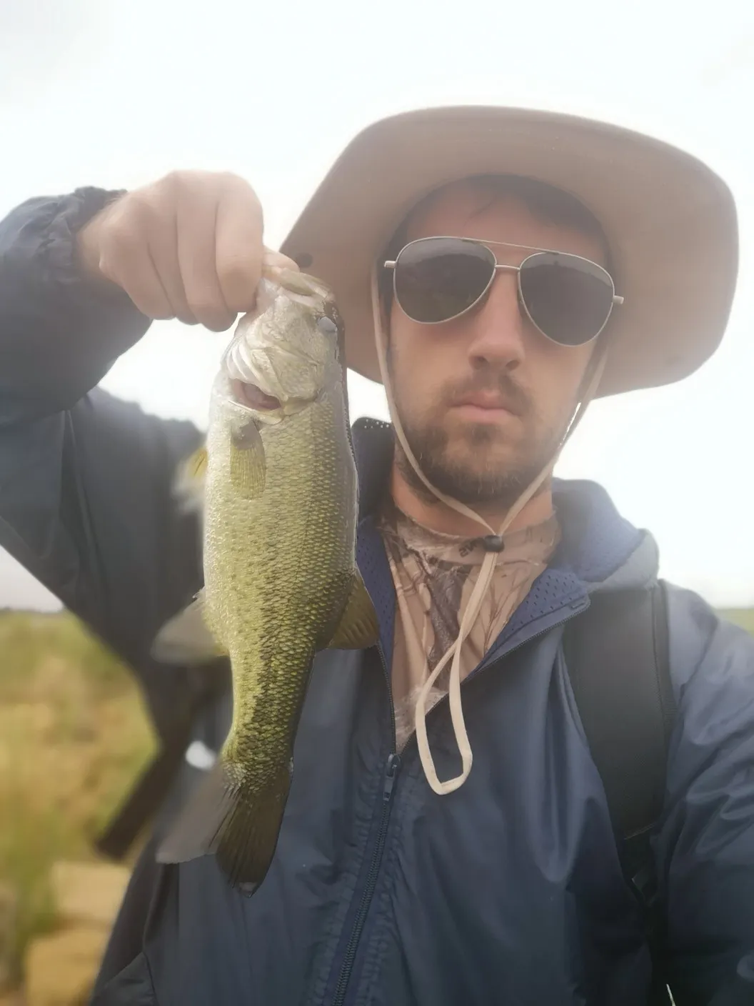 Post image from tpalm4359