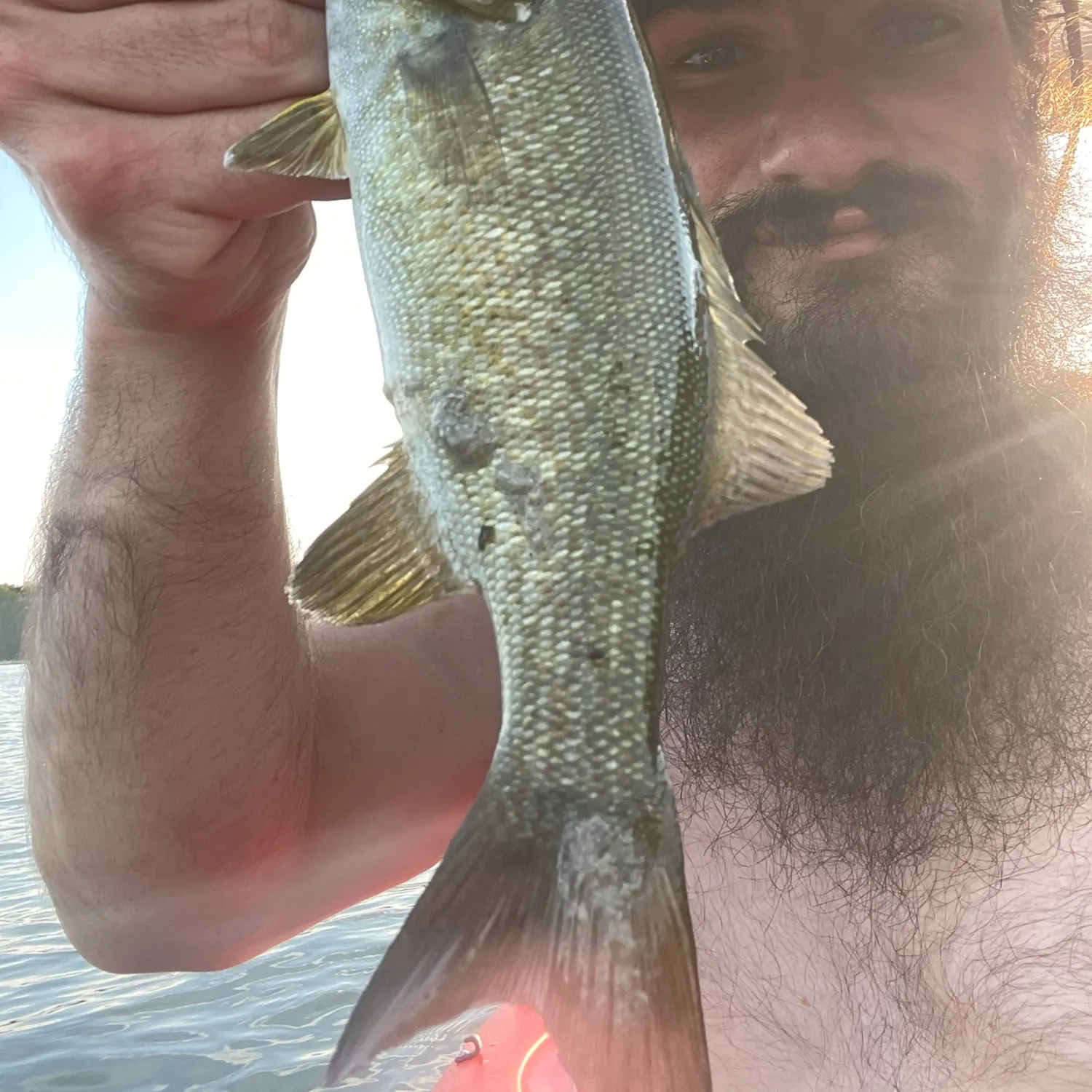 Smallmouth bass caught on Fishbrain