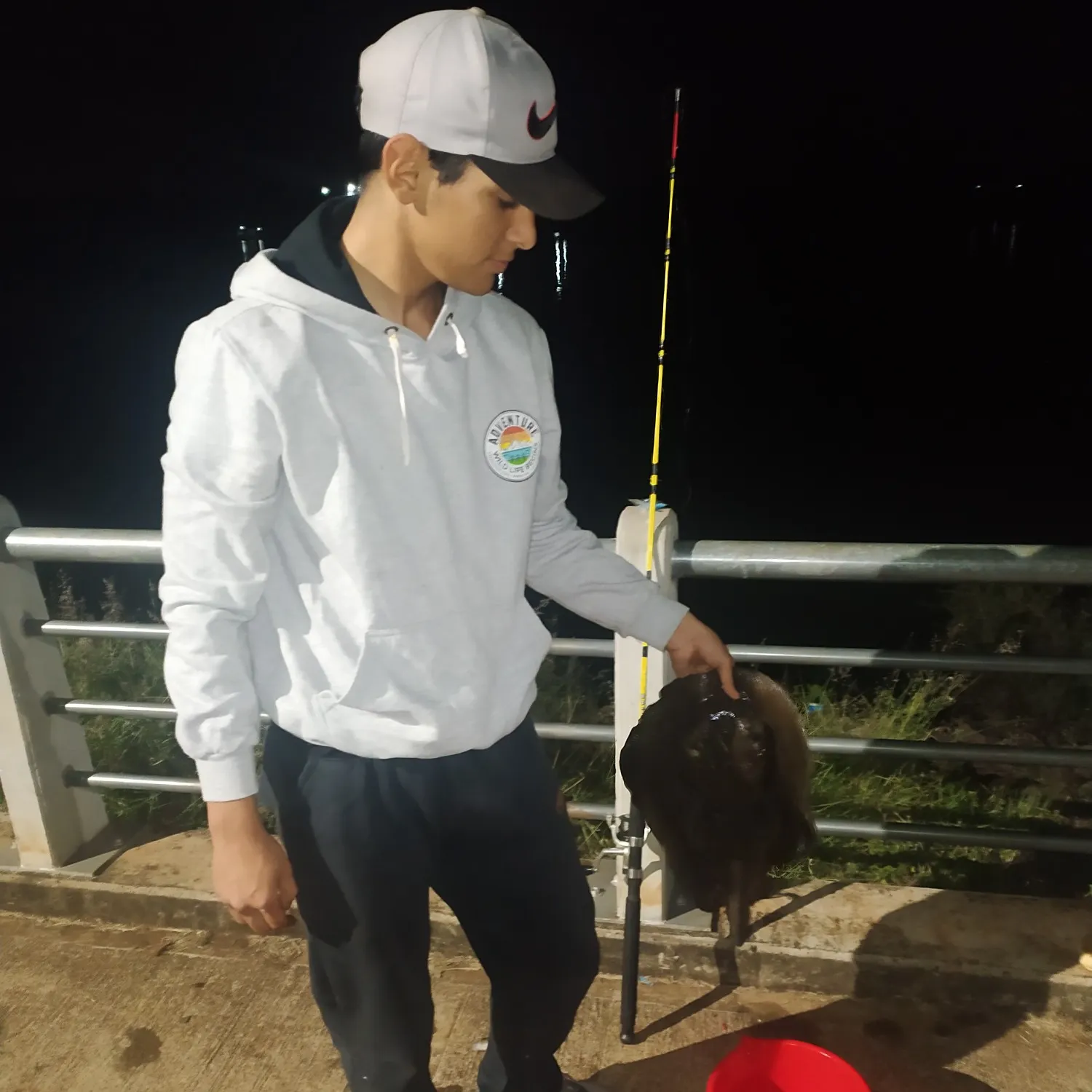most liked catch image