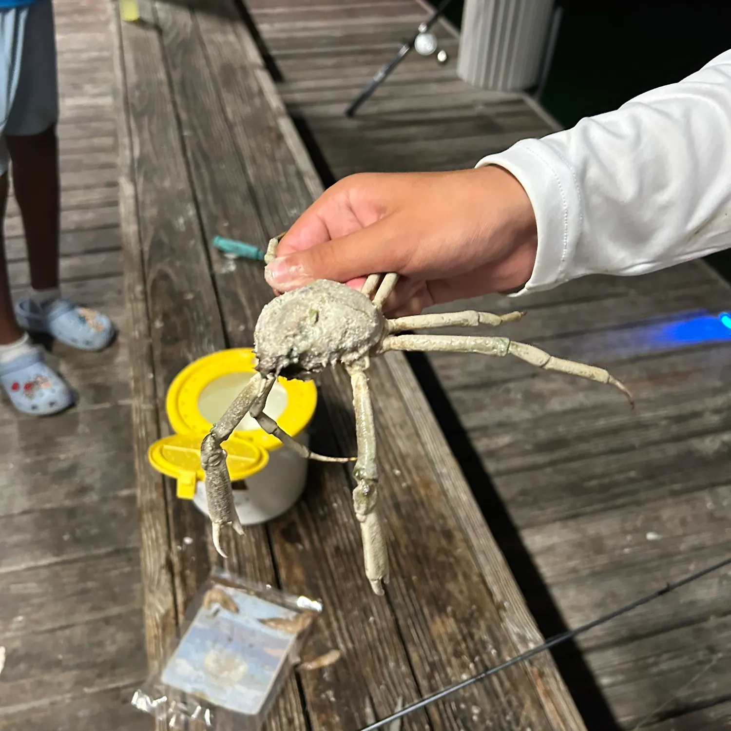 The most recent Florida stone crab catches on Fishbrain