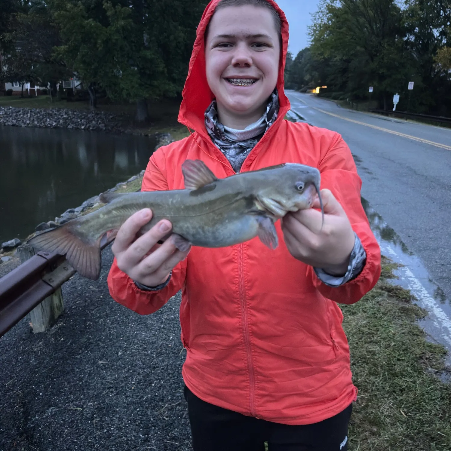 Channel catfish caught on Fishbrain