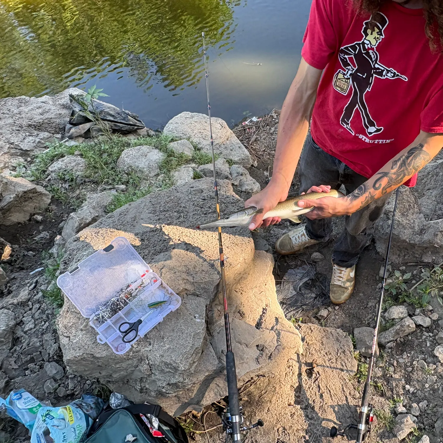 recently logged catches