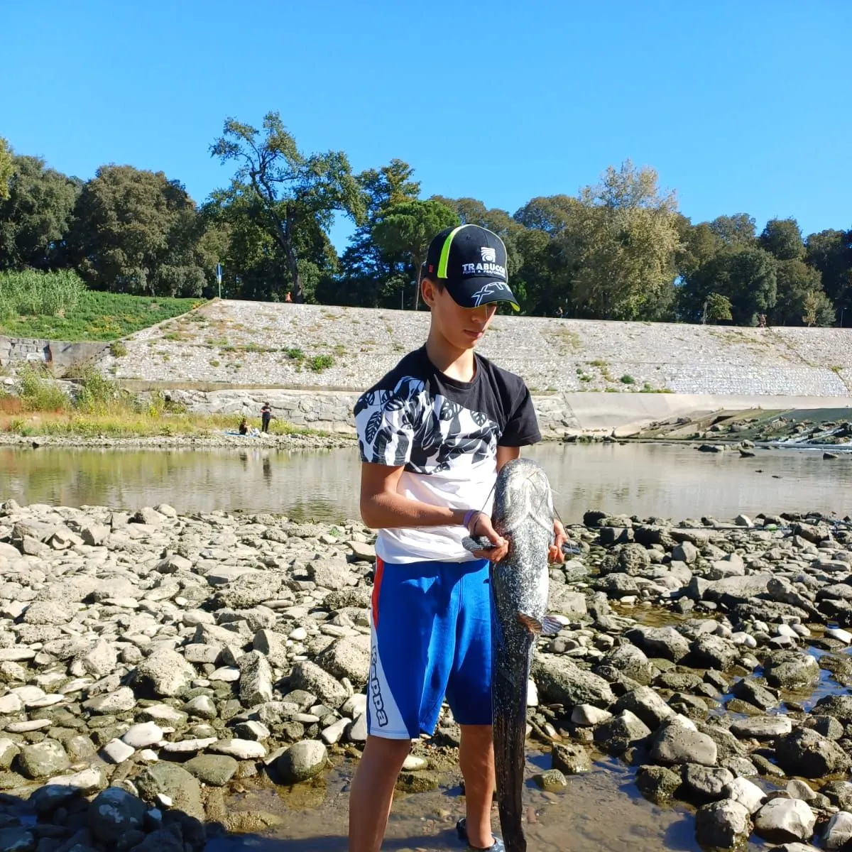 The most recent Wels catfish catches on Fishbrain