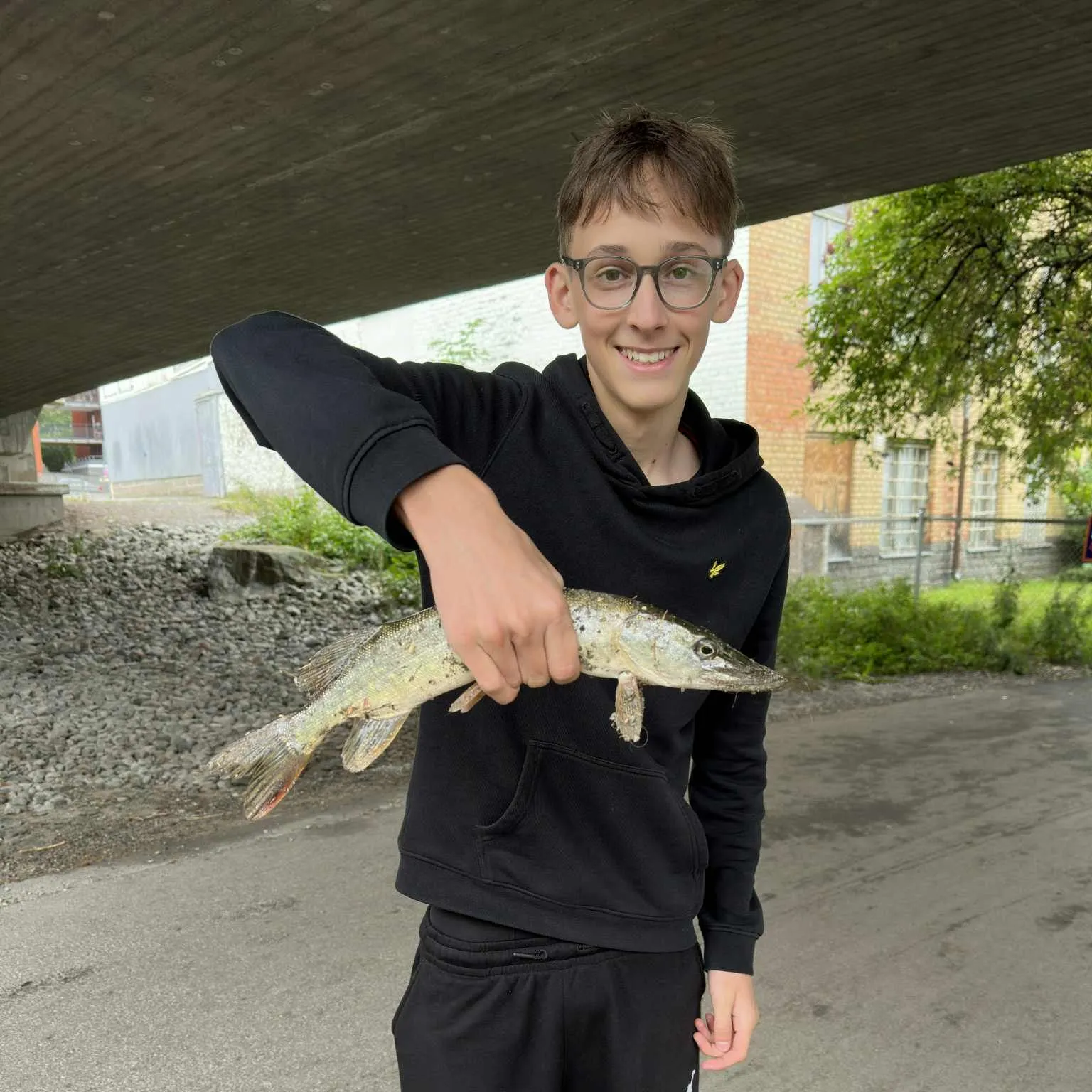 Northern pike caught on Fishbrain