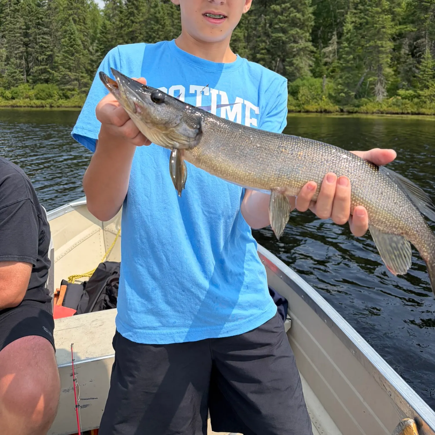 The most recent Silver pike catches on Fishbrain