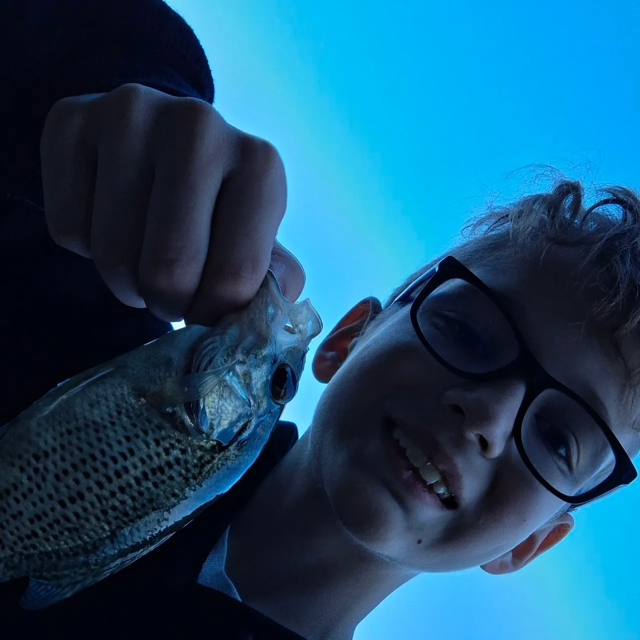 Rock bass caught on Fishbrain