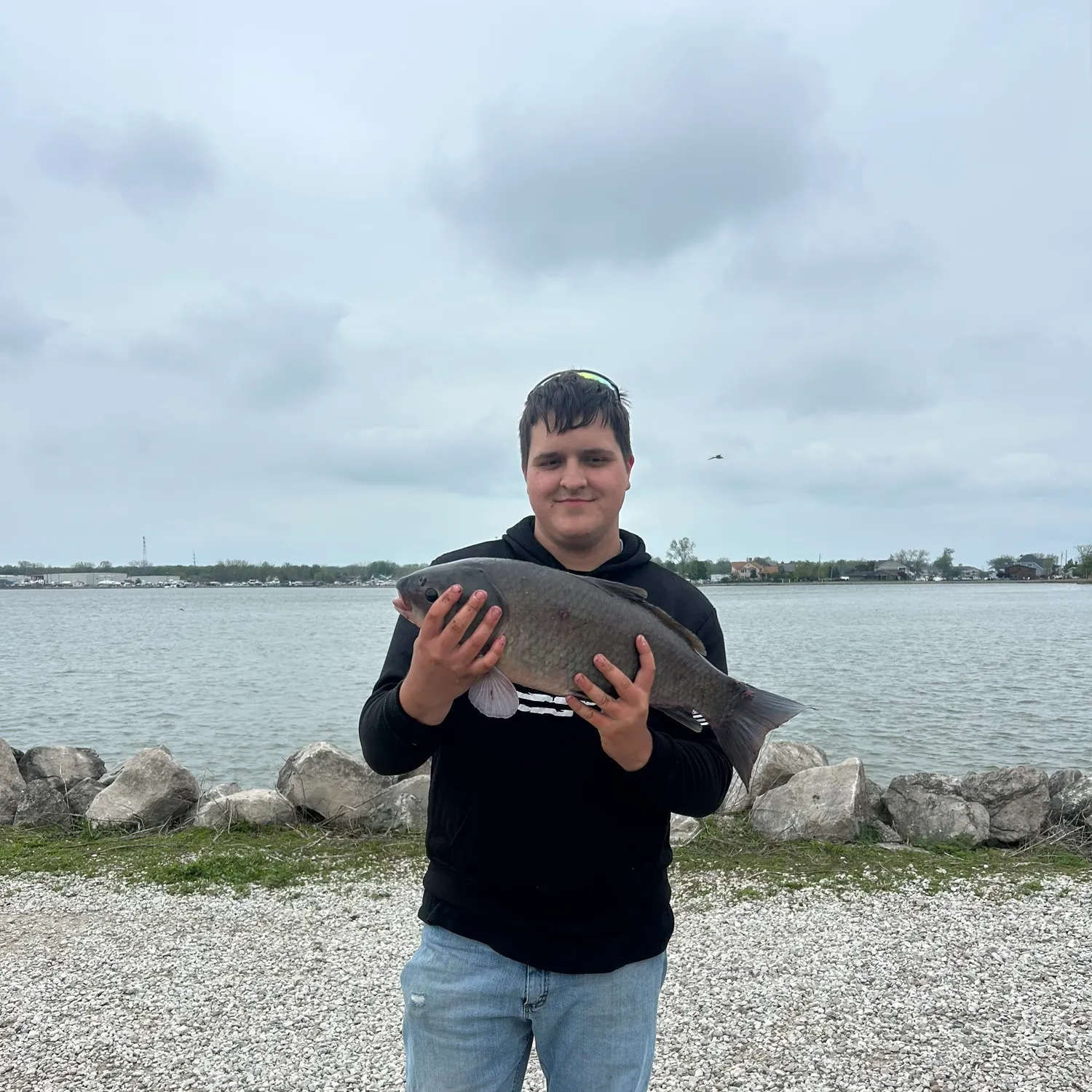 The most recent Bigmouth buffalo catches on Fishbrain