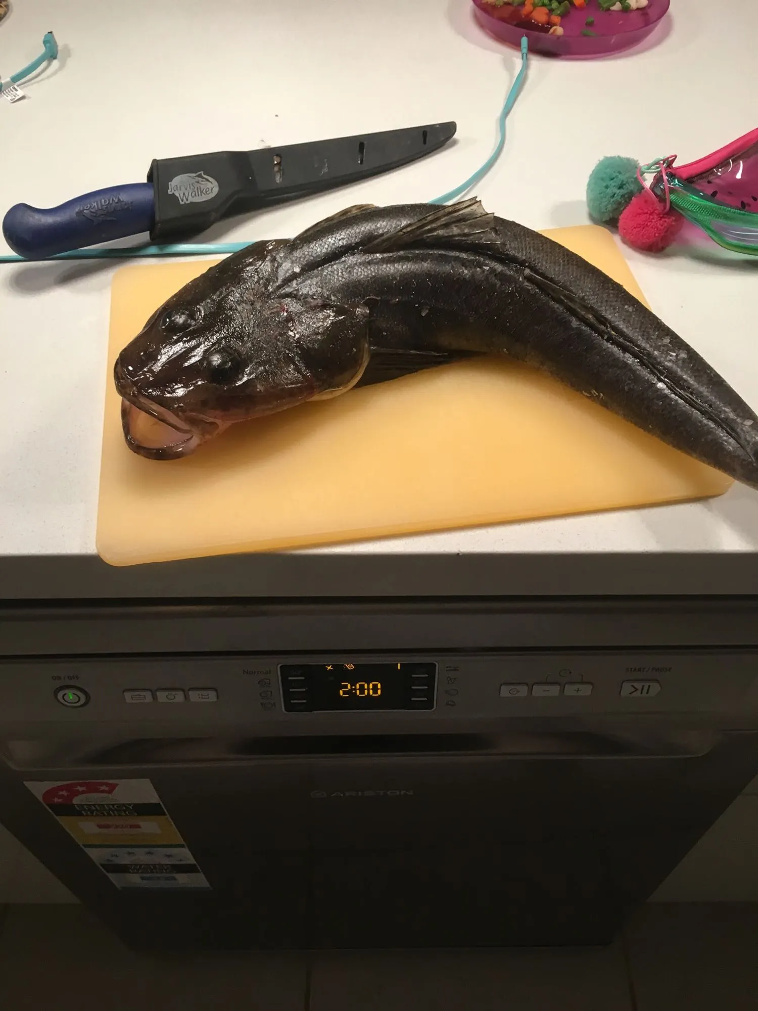 Post image from bthomas8619