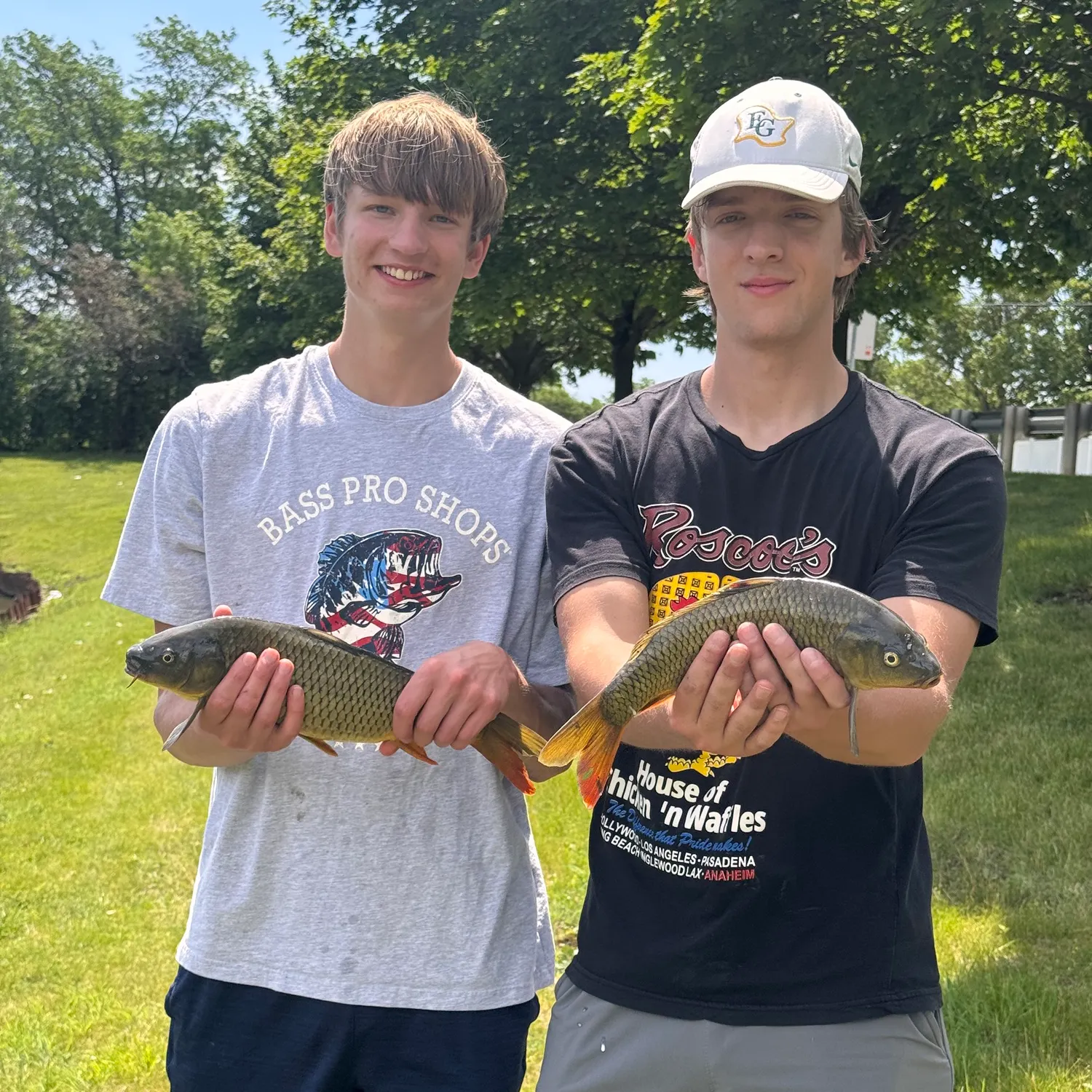recently logged catches