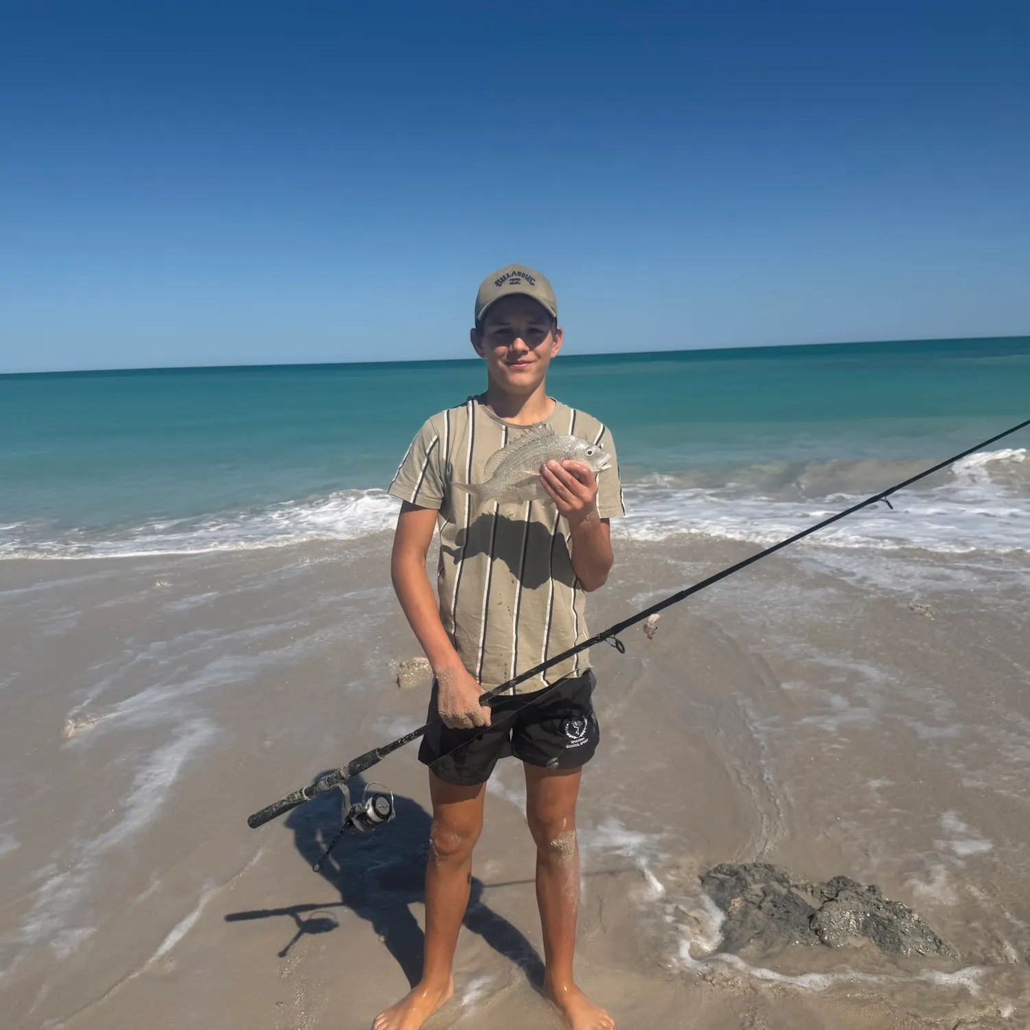 Surf bream caught on Fishbrain