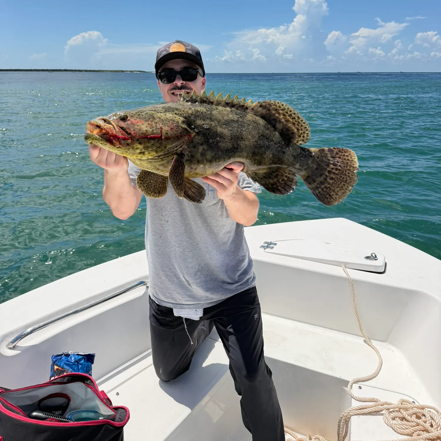 Atlantic goliath grouper caught on Fishbrain