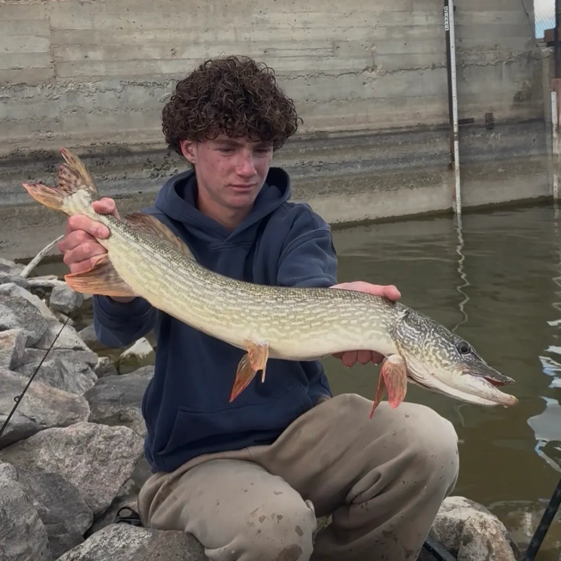 Northern pike caught on Fishbrain