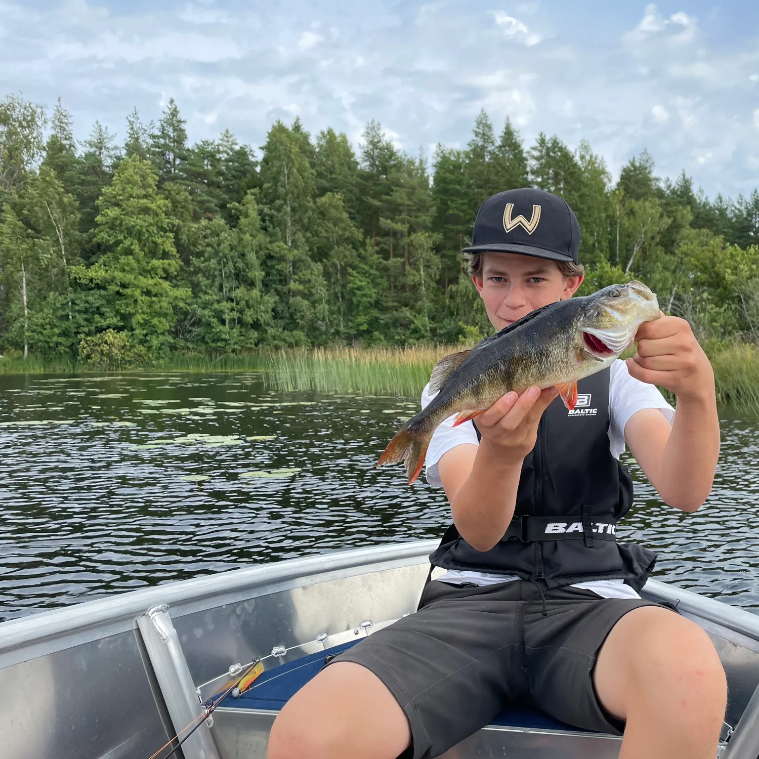 European perch caught on Fishbrain