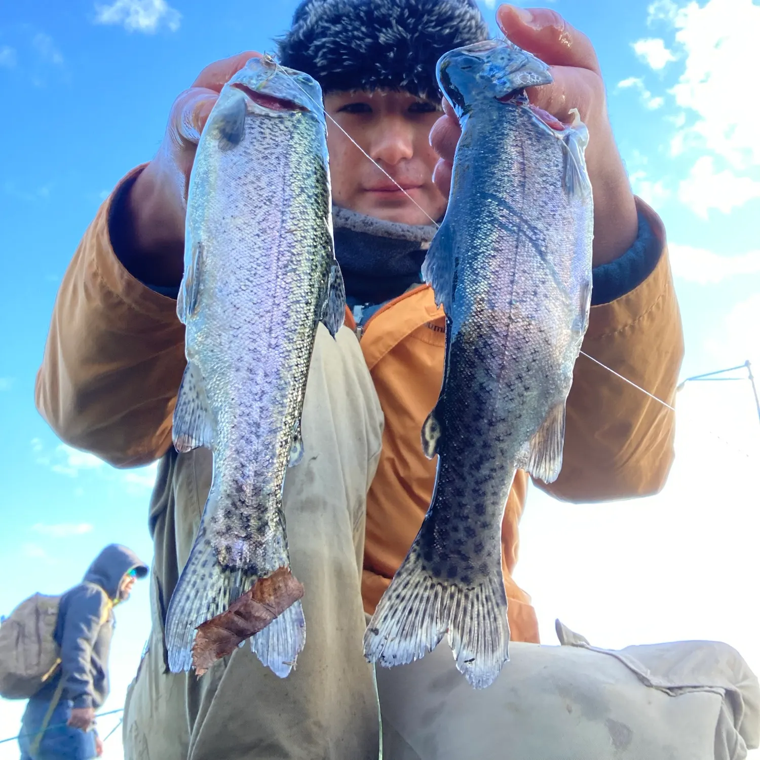 Rainbow trout caught on Fishbrain