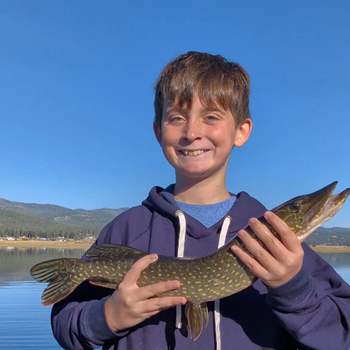 Northern pike caught on Fishbrain