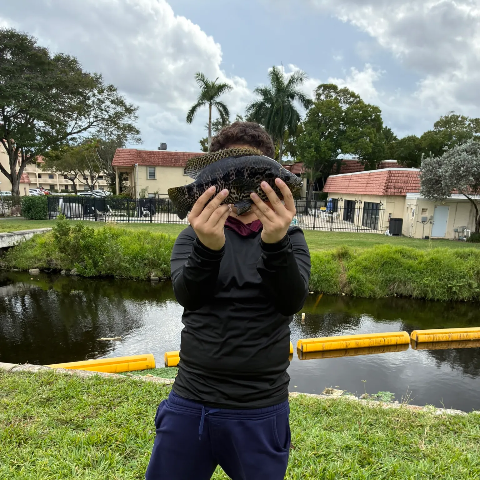 The most recent Jaguar cichlid catches on Fishbrain