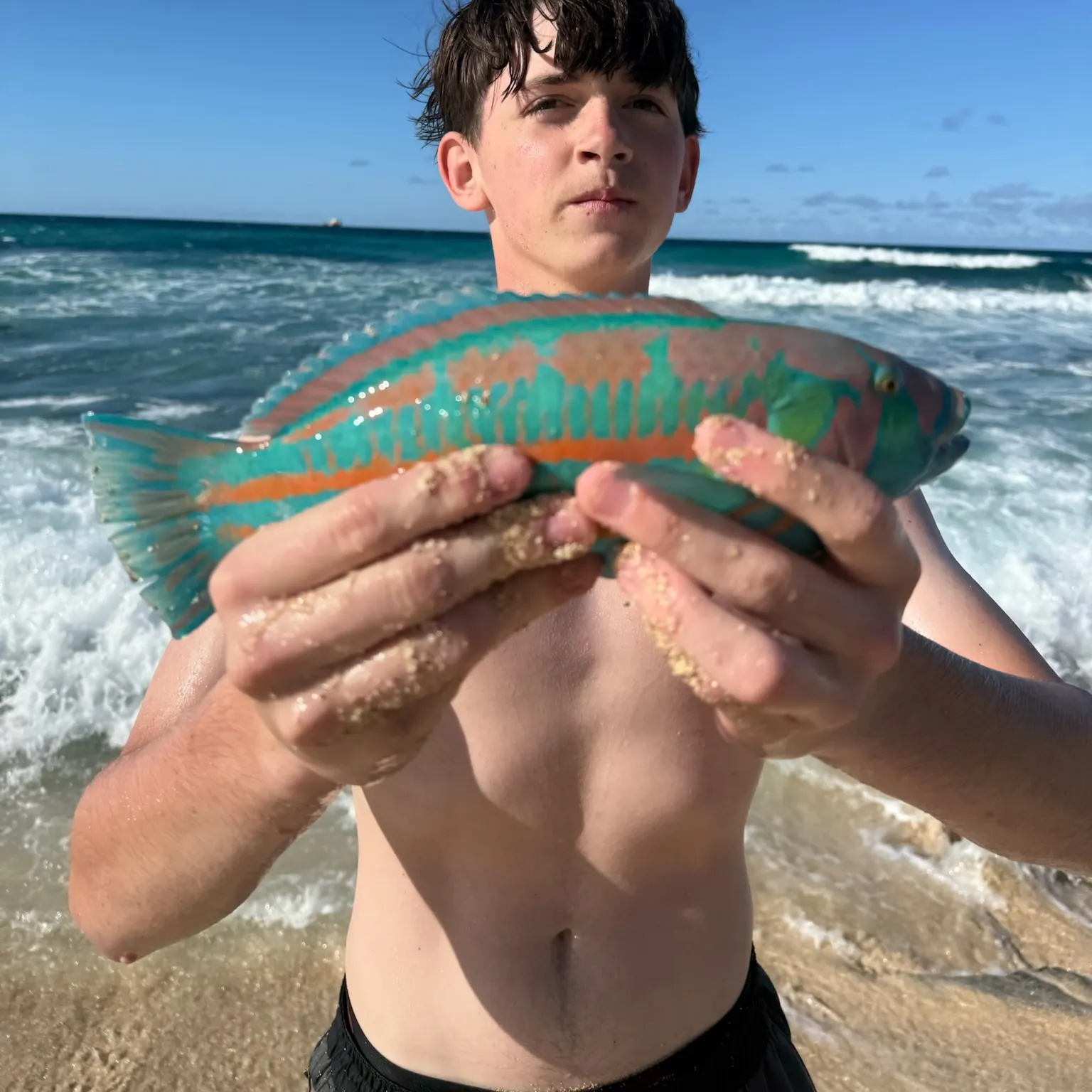 The most recent Christmas wrasse catches on Fishbrain