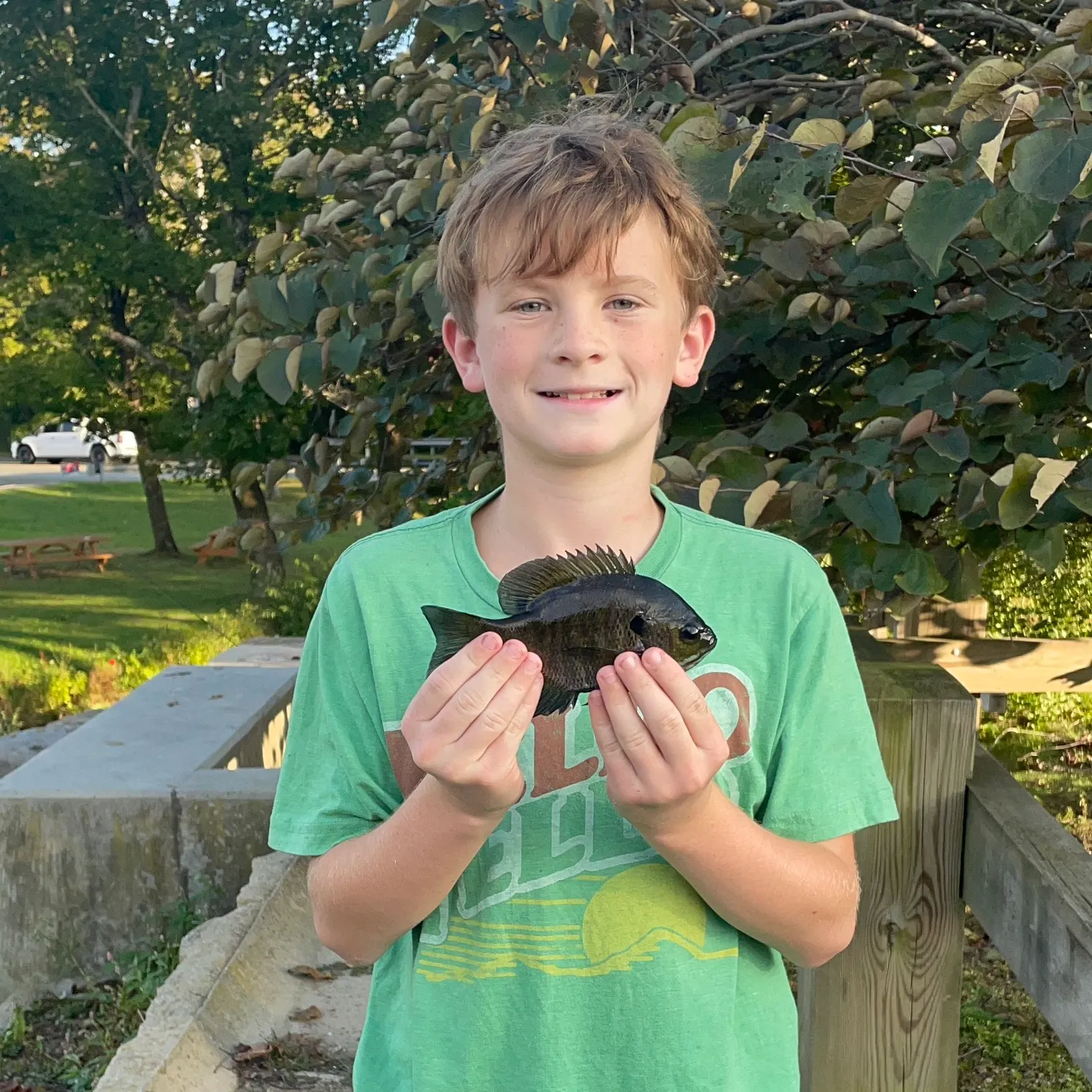 Bluegill caught on Fishbrain
