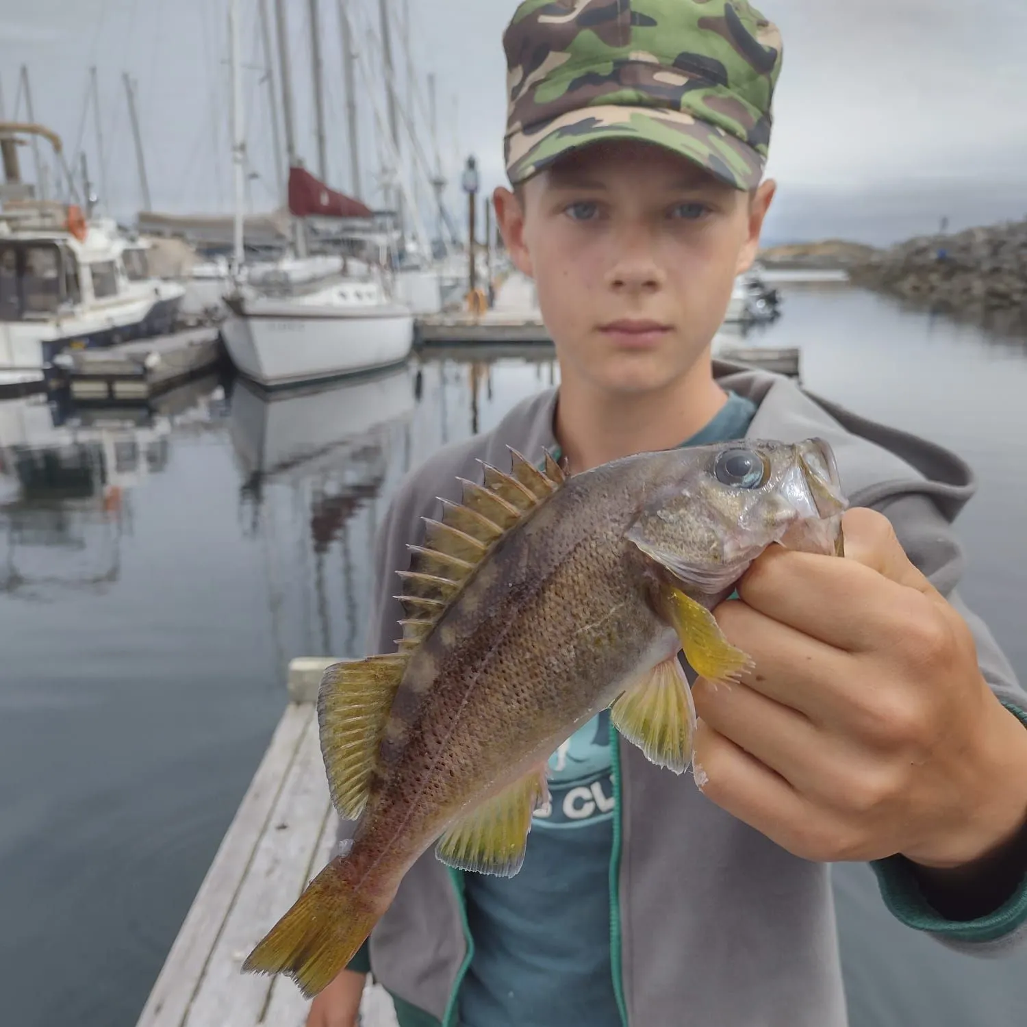 The most recent Yellowtail rockfish catches on Fishbrain