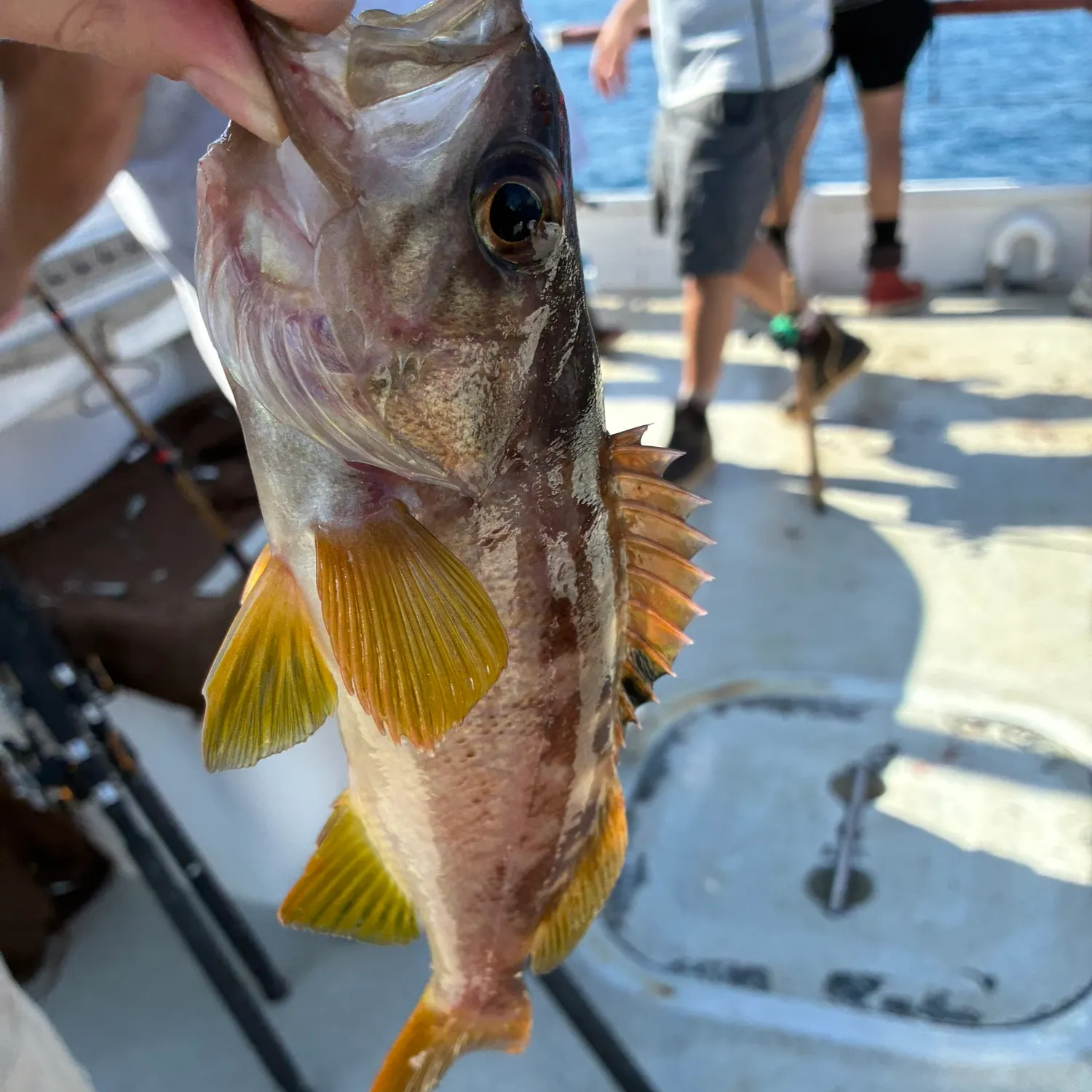 catch