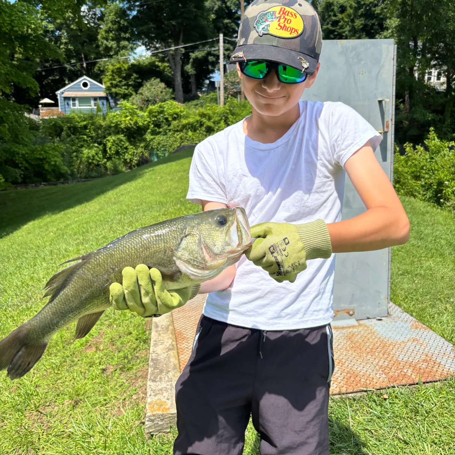 catch