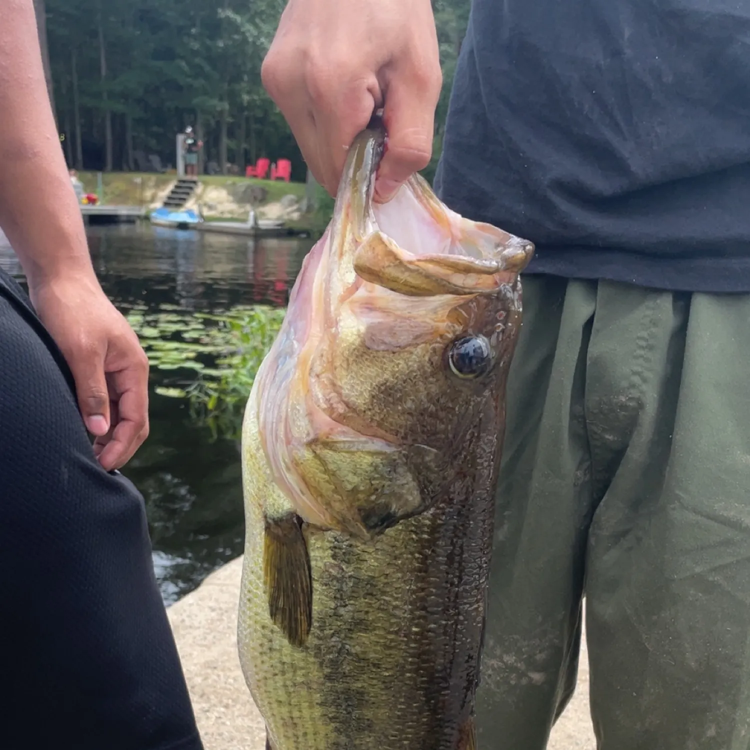 catch