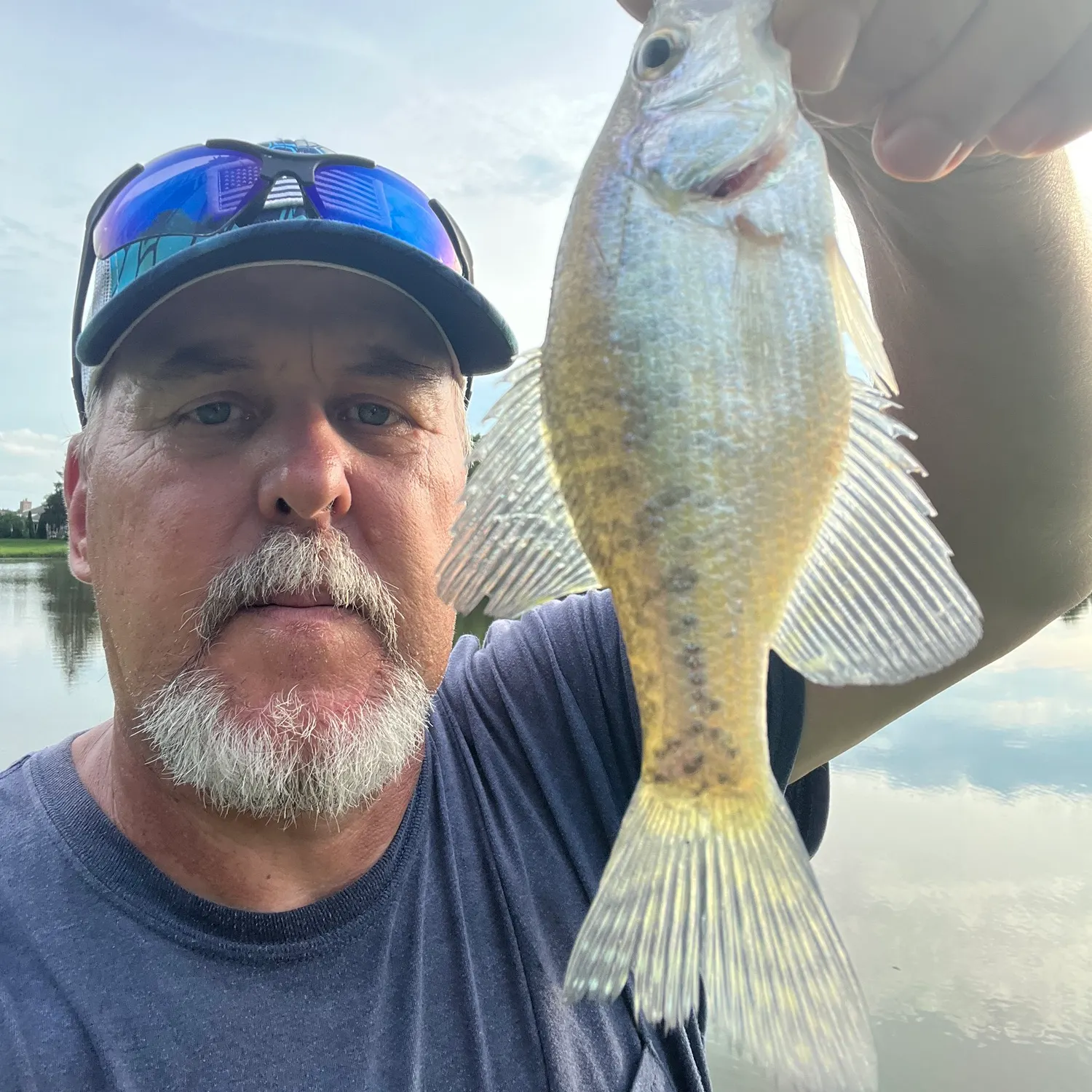 White crappie caught on Fishbrain