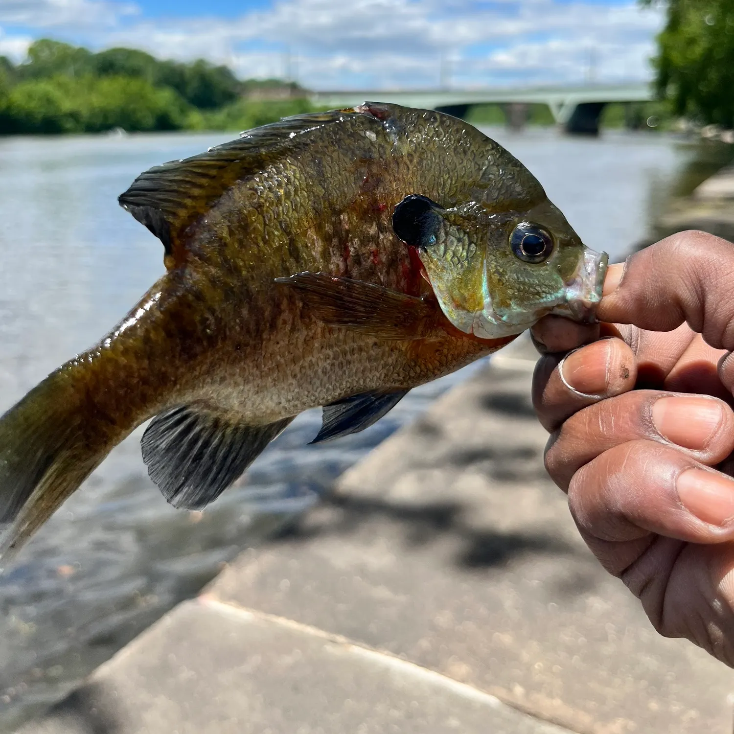 catch