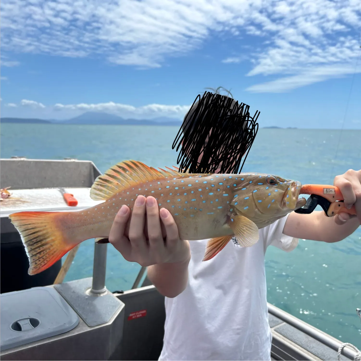 The most recent Leopard coralgrouper catches on Fishbrain