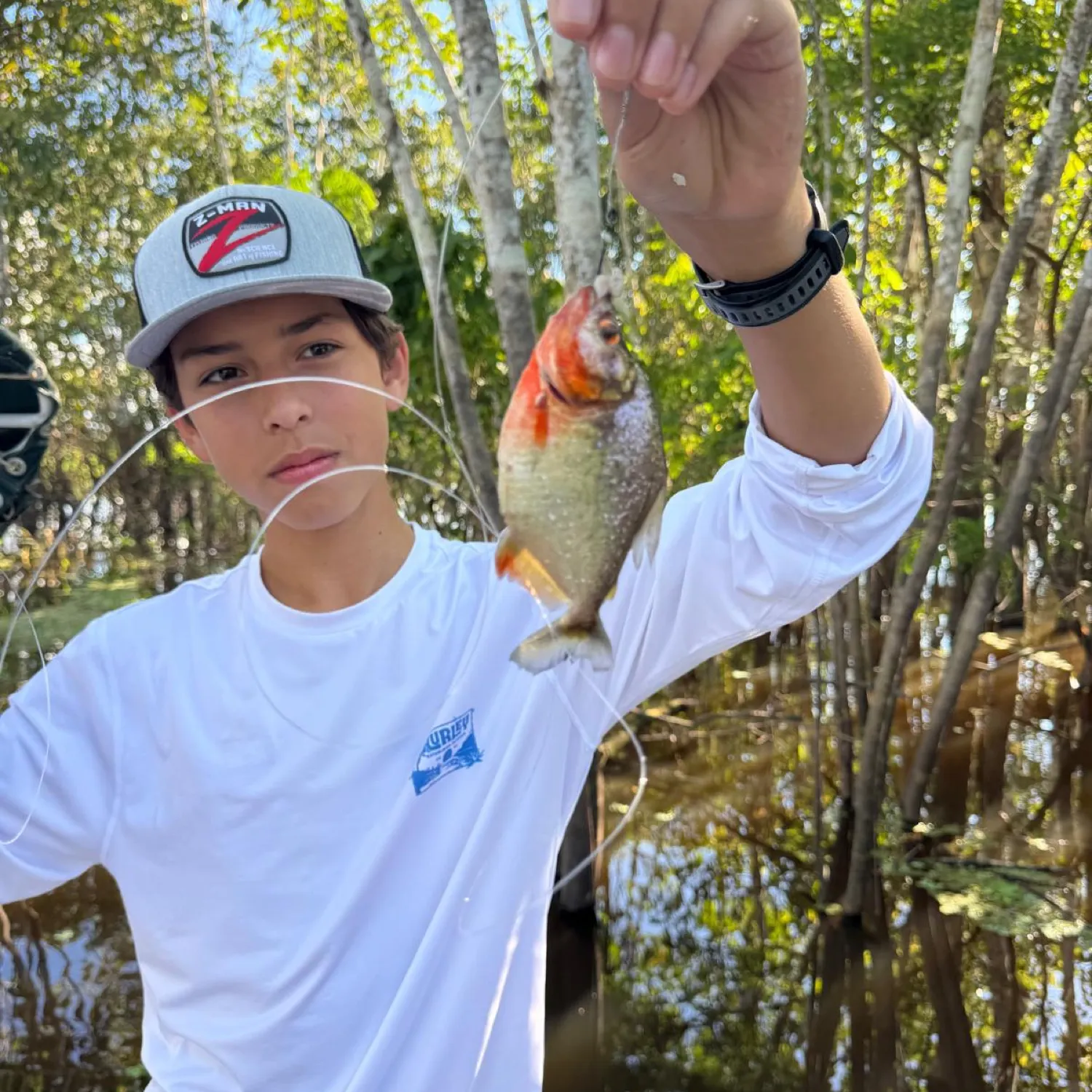 recently logged catches