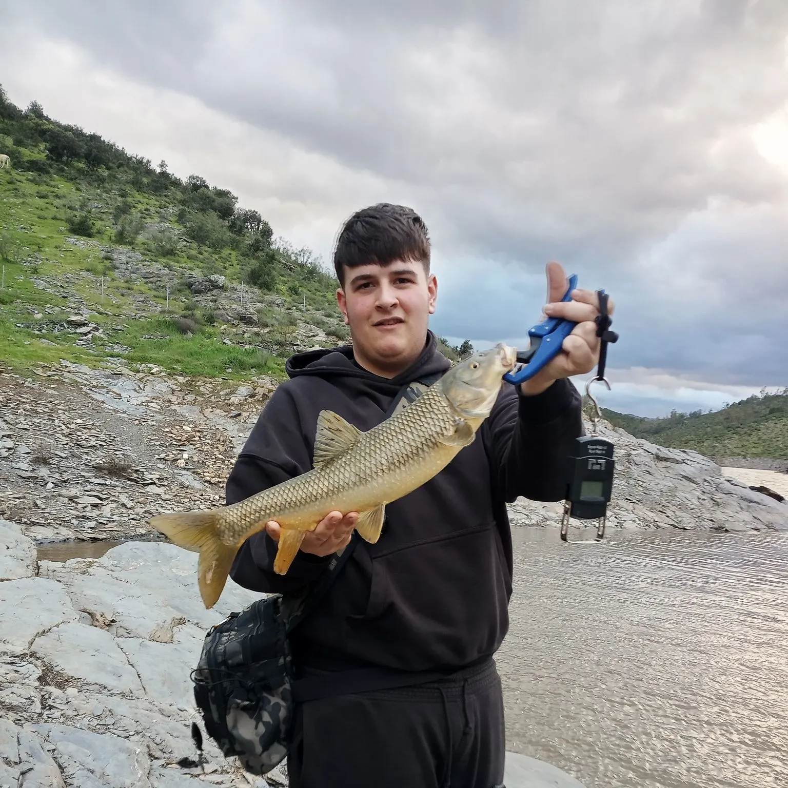The most recent Andalusian barbel catches on Fishbrain