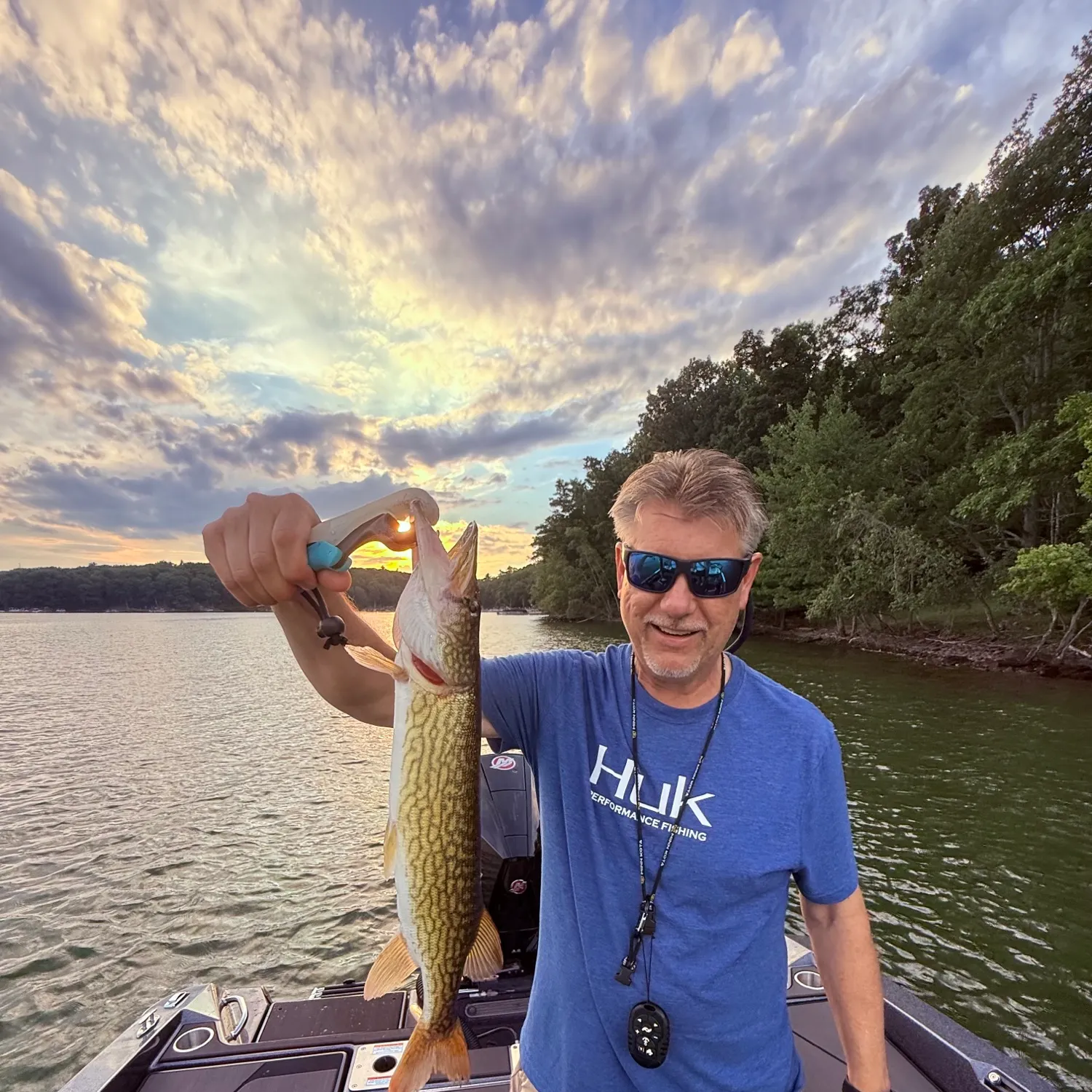 Chain pickerel caught on Fishbrain