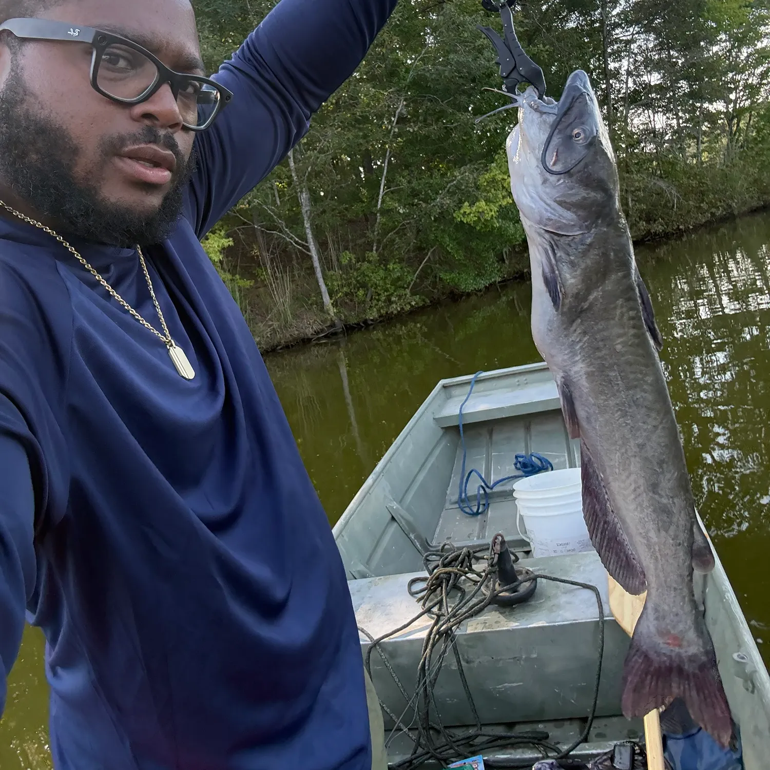 Channel catfish caught on Fishbrain